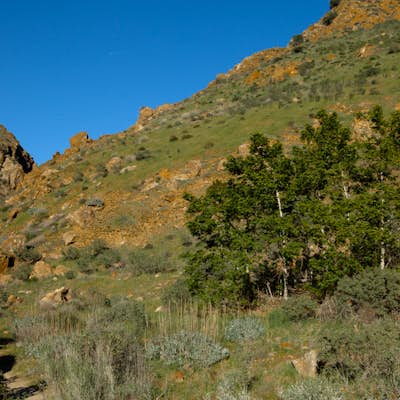 Hiking the Piru Creek Gorge Trail