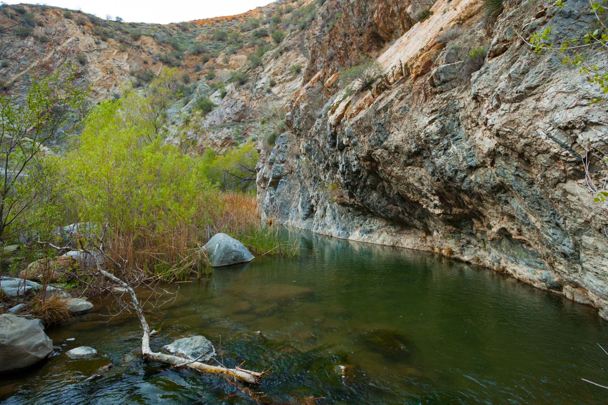 Hiking the Piru Creek Gorge Trail