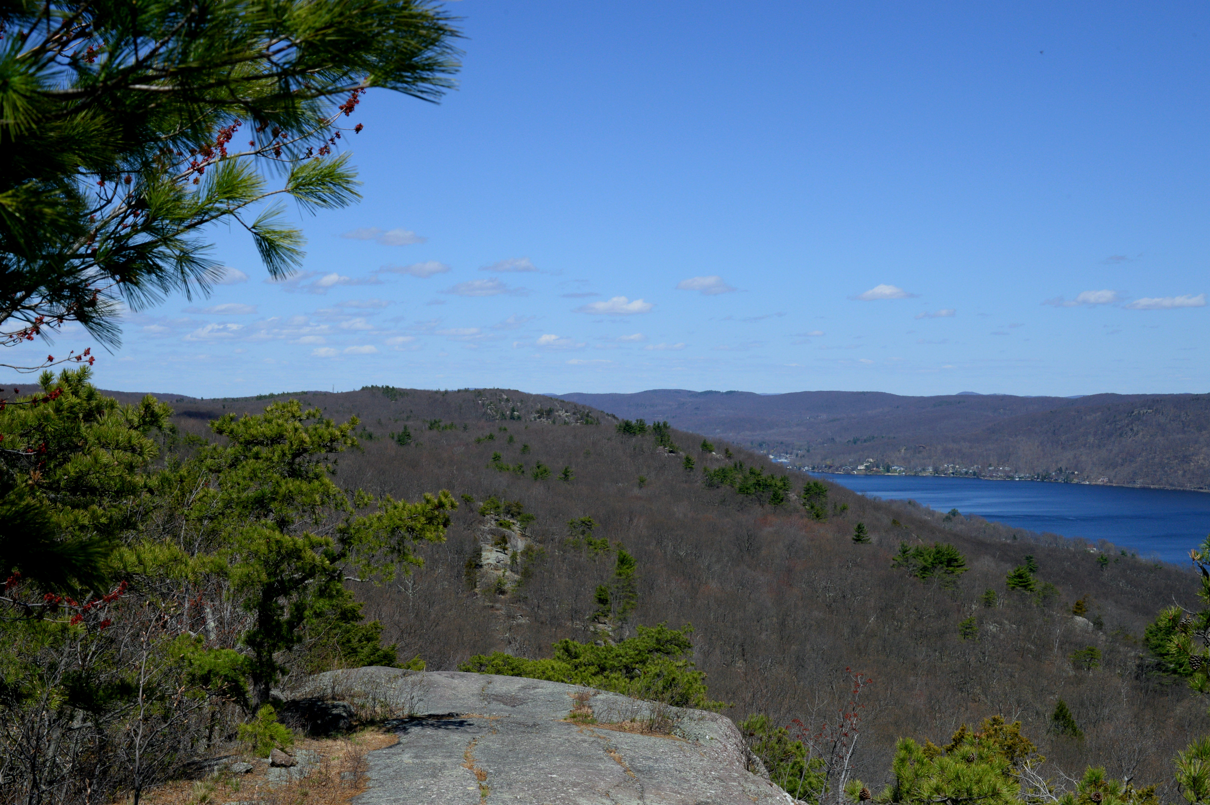 Bearfort Mountain Loop