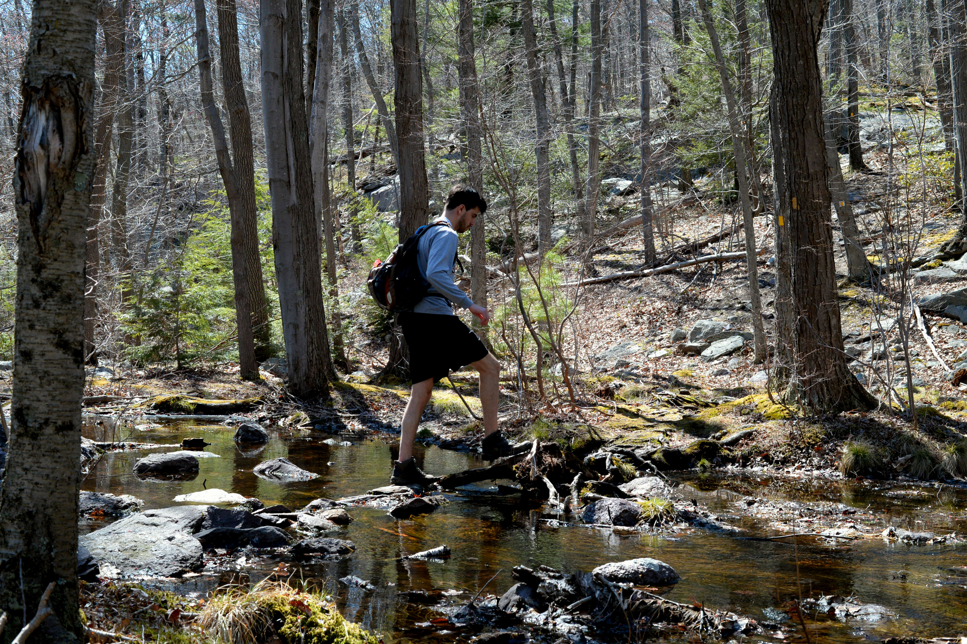 Bearfort Mountain Loop