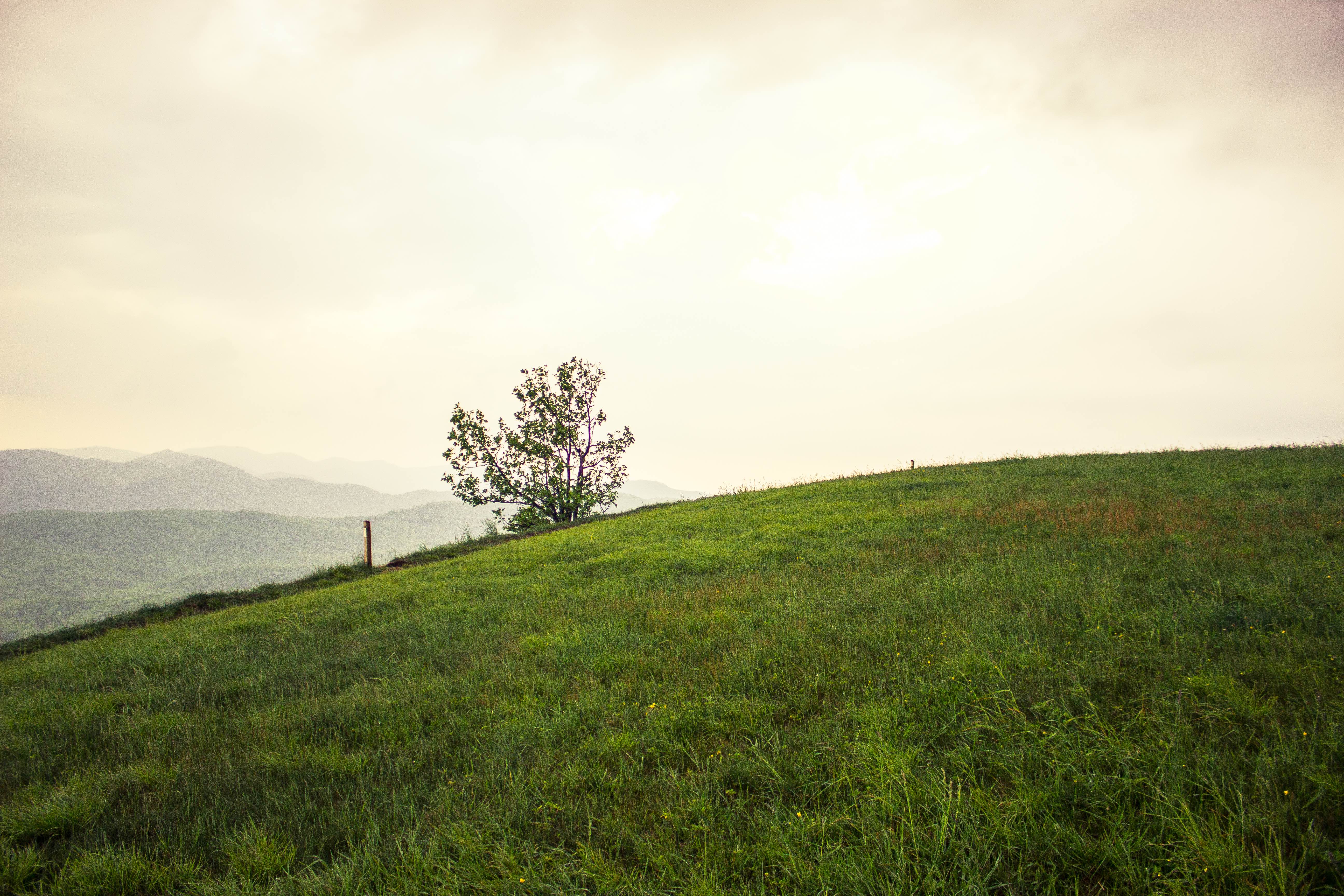 Max Patch Mountain
