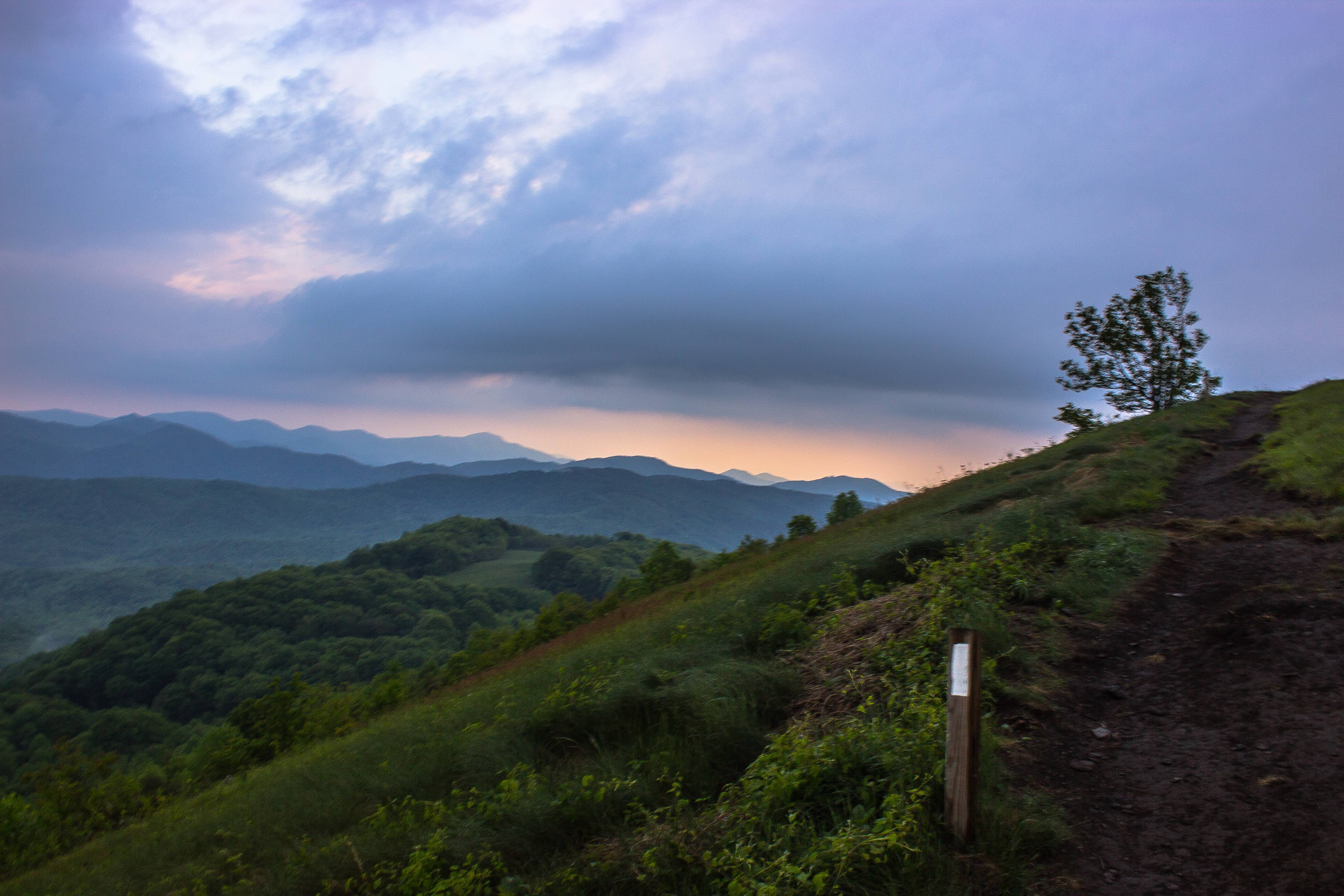 Max Patch Mountain