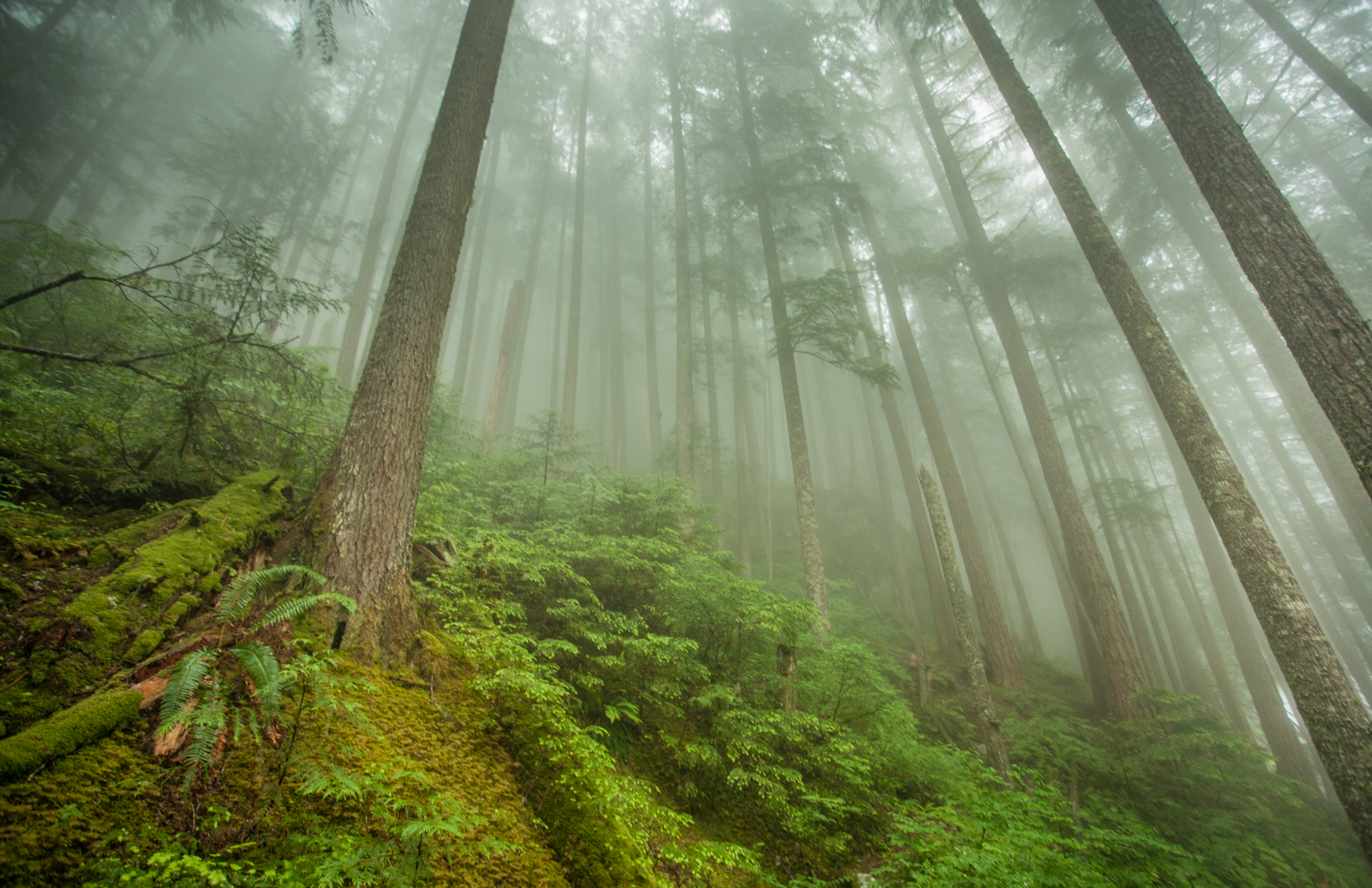 Backpack to Lake Lovely Water
