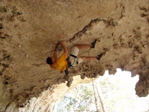 Sport Climbing at Milton Reimer's Ranch