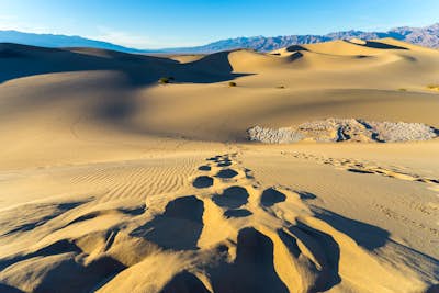 Photographing the Mesquite Flat Sand Dunes 