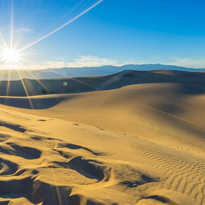 Photographing the Mesquite Flat Sand Dunes 