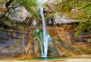 Lower Calf Creek Falls