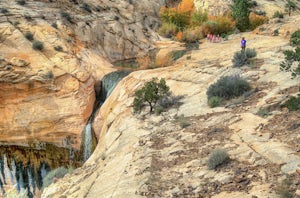 Upper Calf Creek Falls