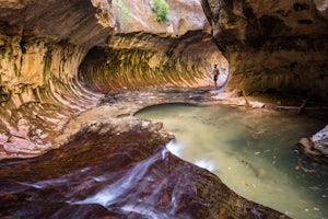 5 Reasons To Explore Zion National Park