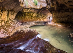 5 Reasons To Explore Zion National Park