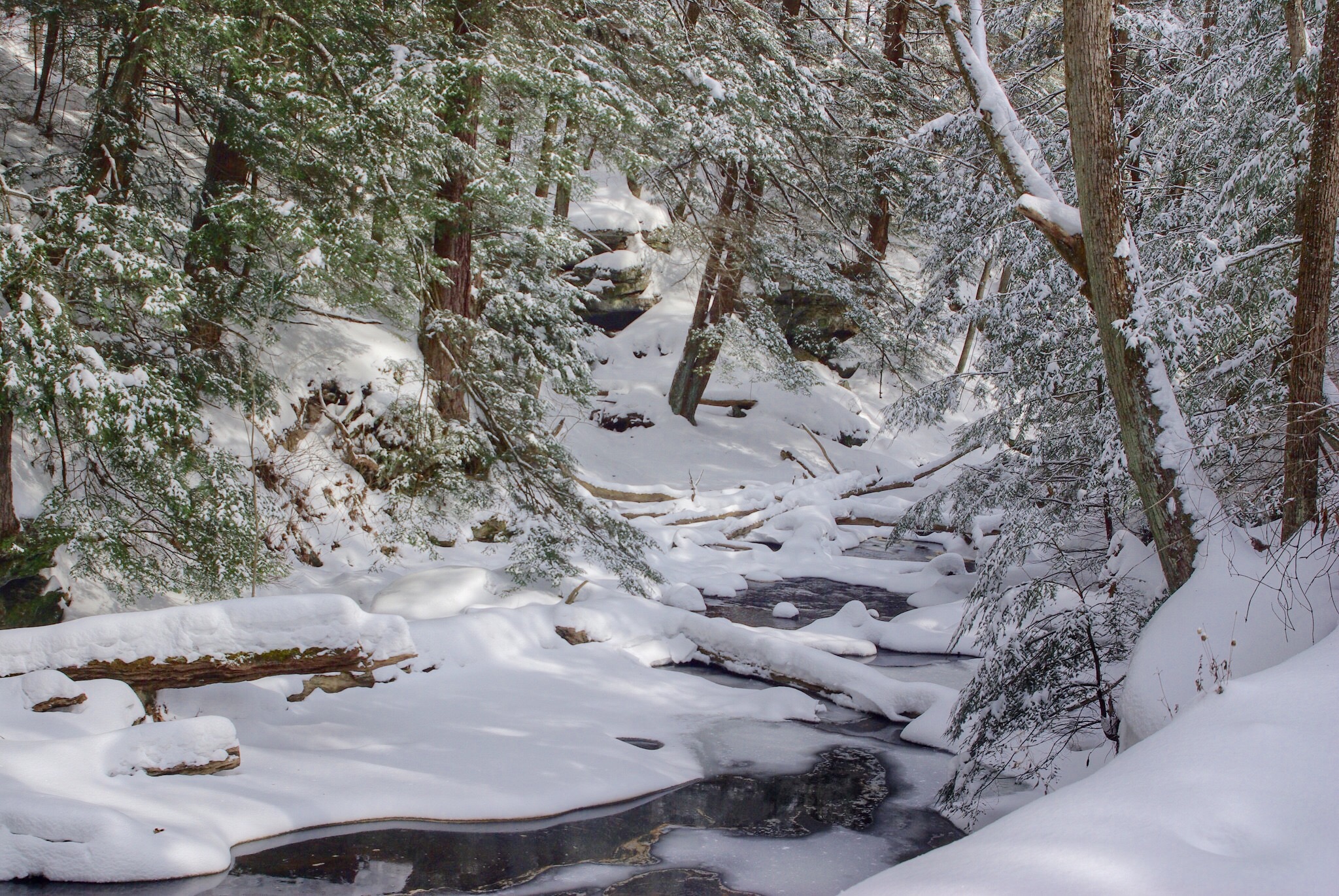 Hike Through Hells Hollow
