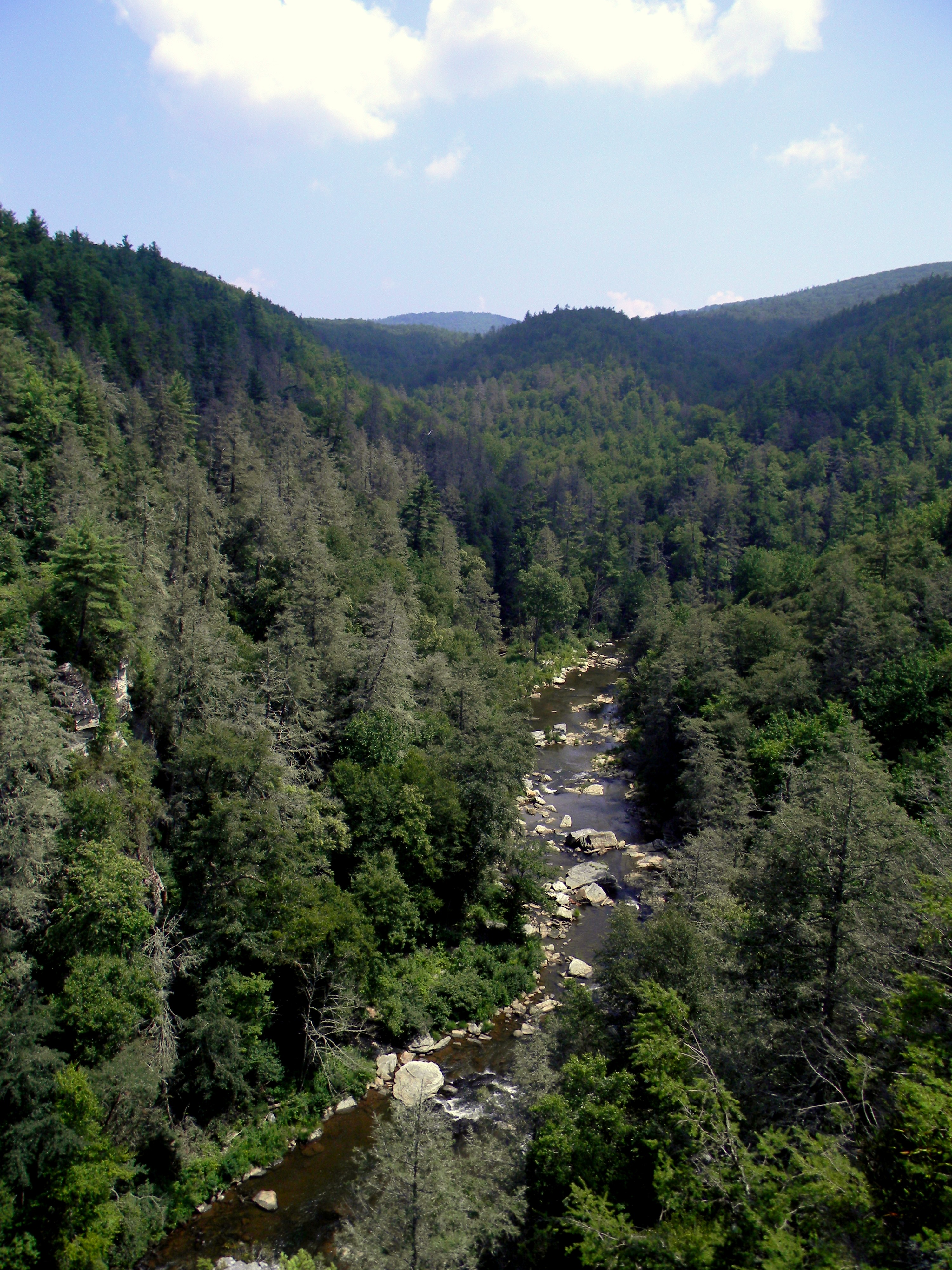 Linville Falls Trail
