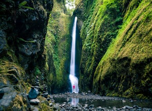 5 Under The Radar Waterfalls In Oregon