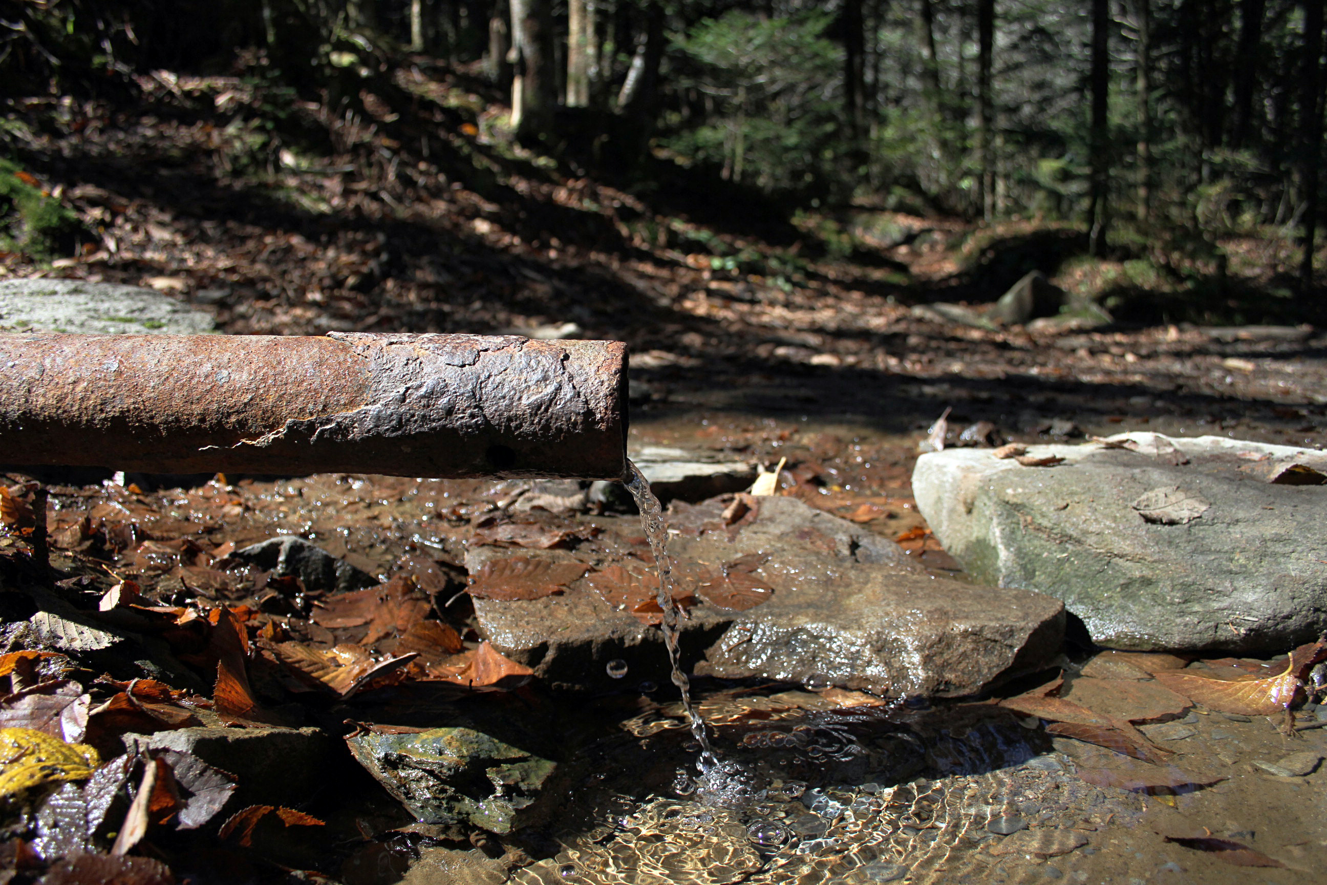Charlies Bunion via Appalachian Trail