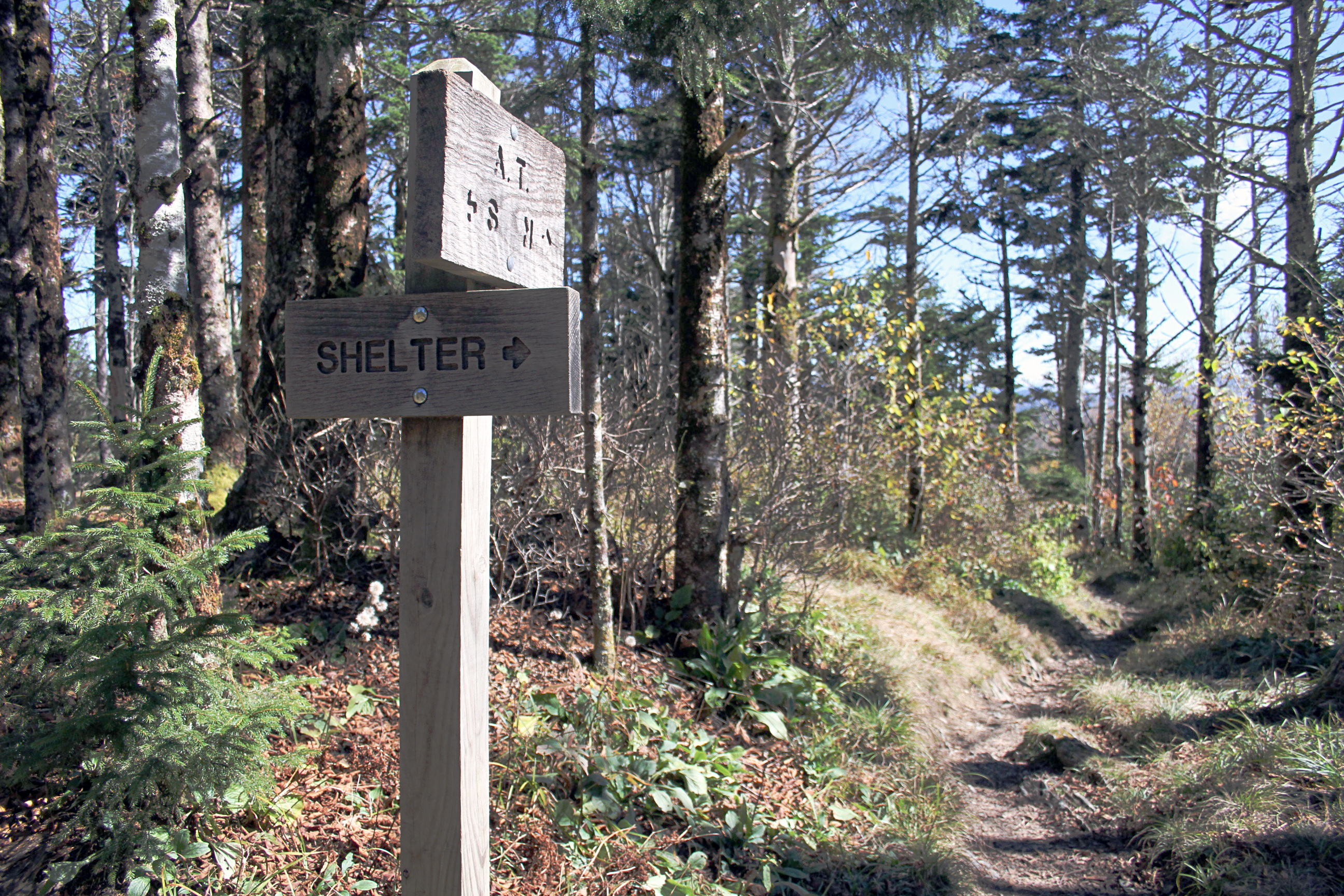 Charlies Bunion via Appalachian Trail