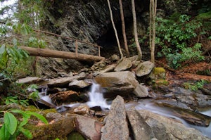 Hike to Mt. LeConte via Alum Cave Bluff