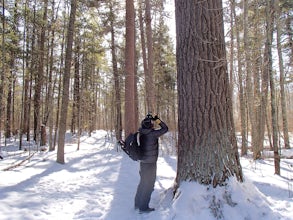 Hiking The Lost Forty