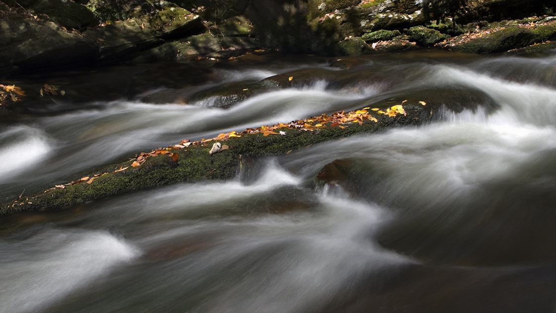 Hike the Rocky Branch and Limestone Cove Trail, Rocky Branch Trailhead