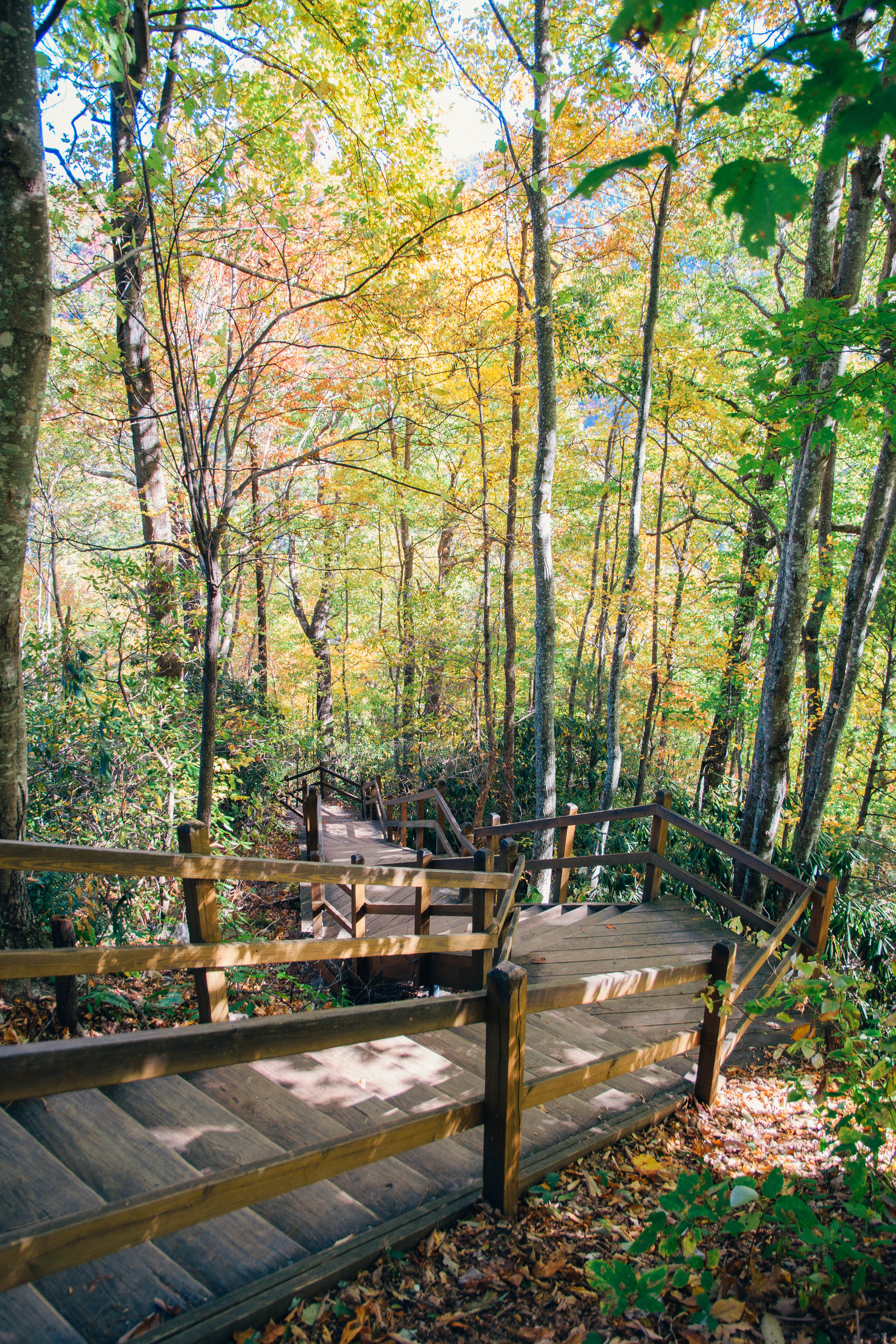 Explore Whitewater Falls