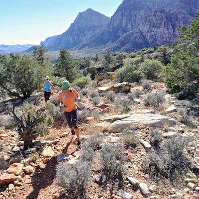 Trail Running in Red Rocks Nevada