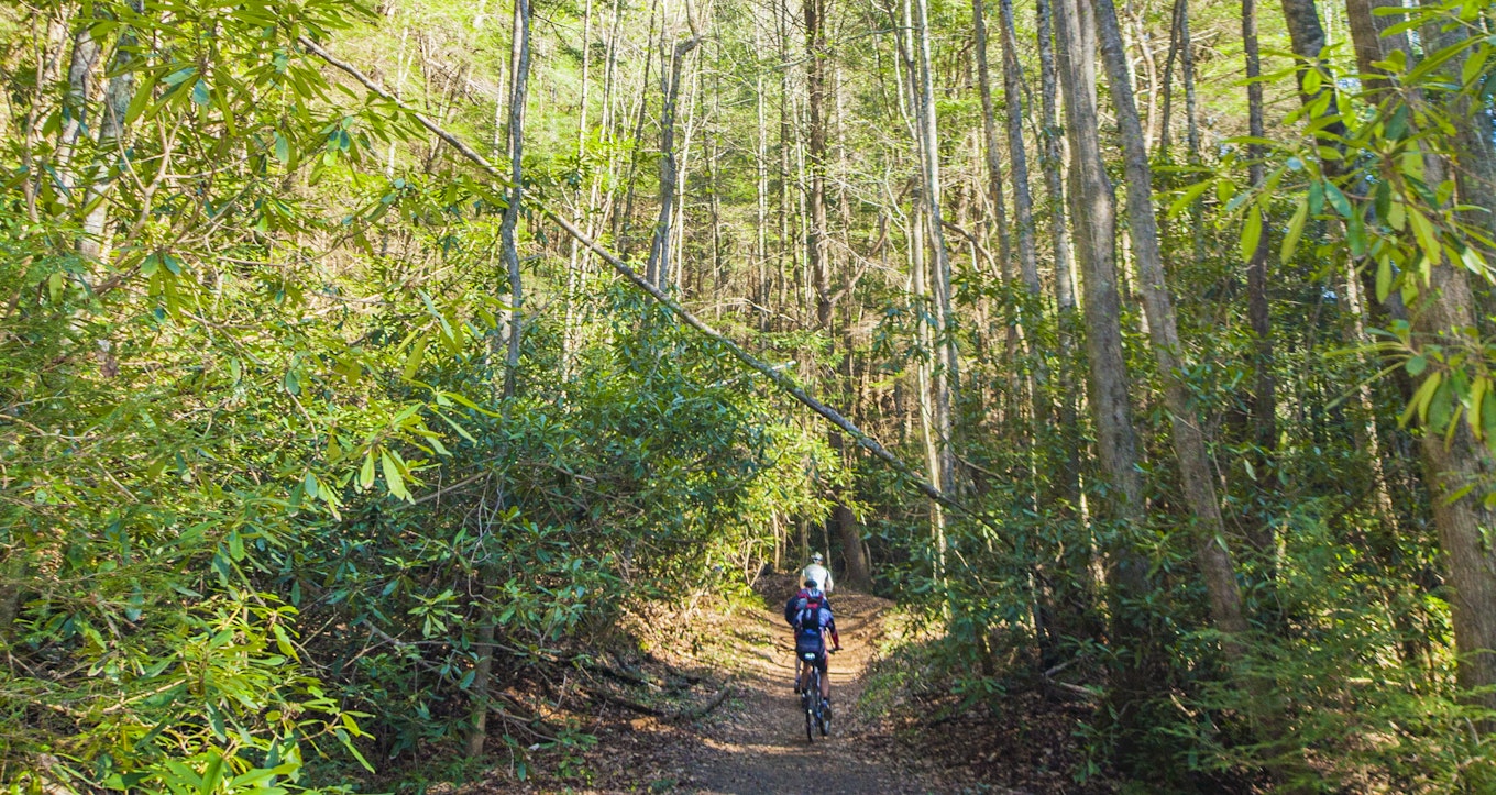 Bear creek discount mountain bike trail