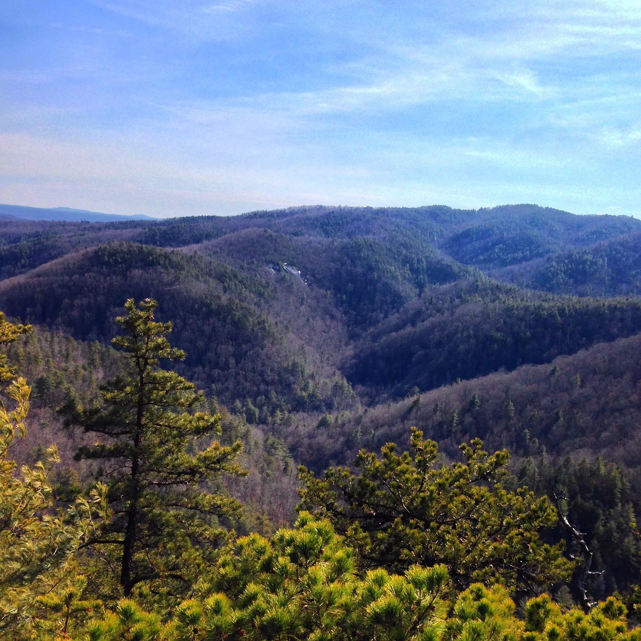 Chestnut Knob via River Trail