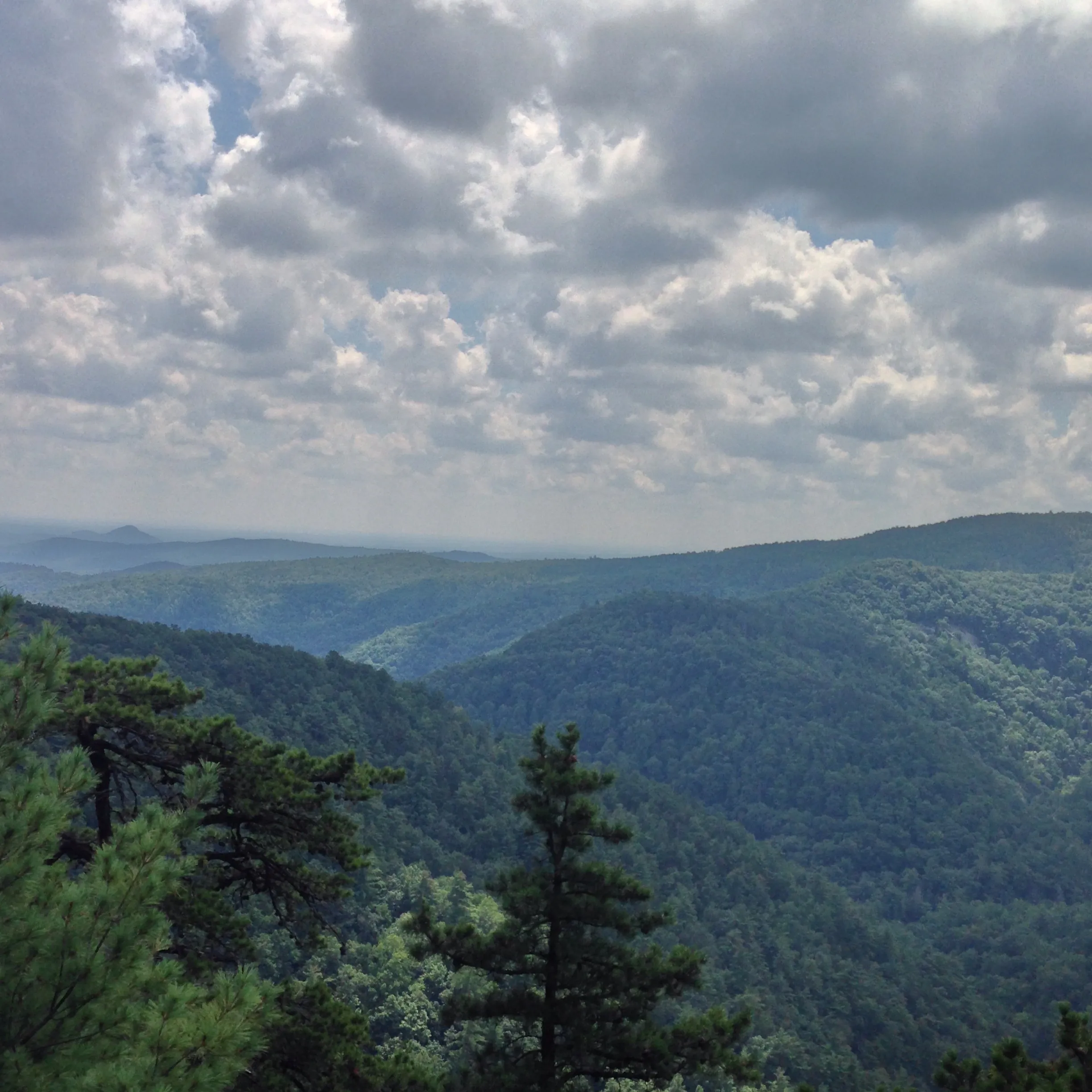 Chestnut Knob via River Trail