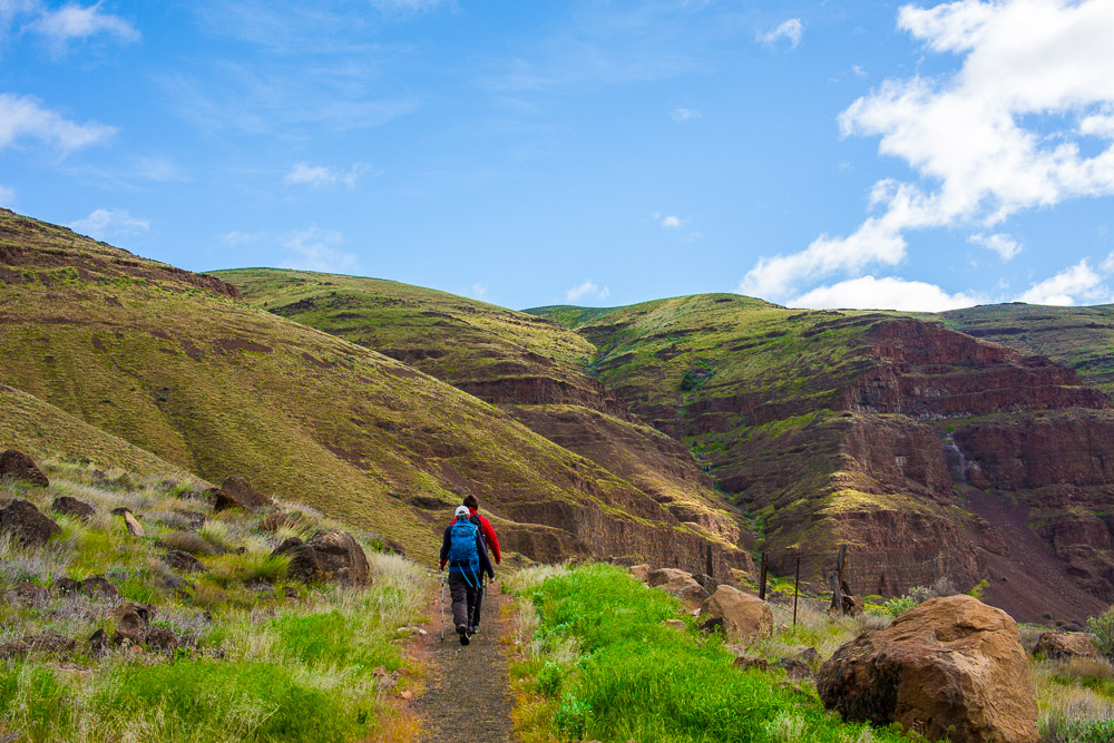Hike Cottonwood Canyons Pinnacle Trail