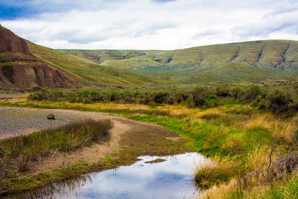 Hike Cottonwood Canyons Pinnacle Trail