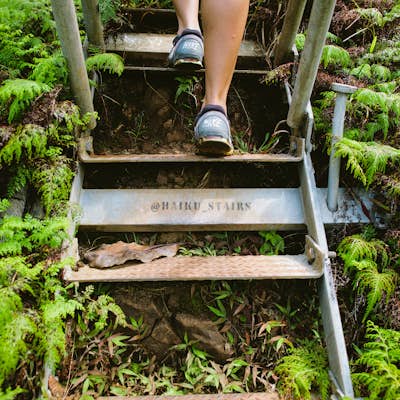 Hike the Haiku Stairs (Stairway To Heaven) 