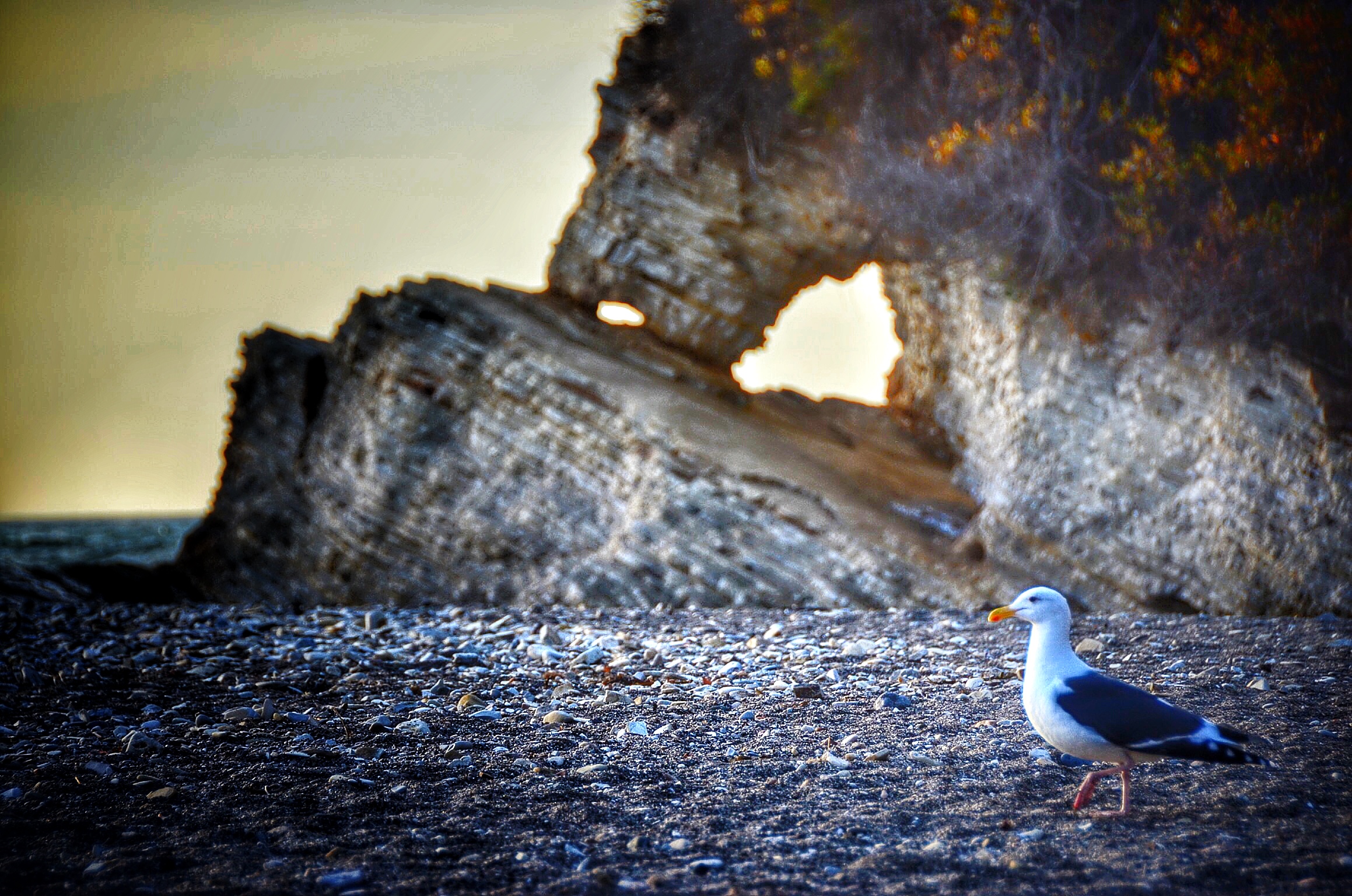 Spooner's Cove
