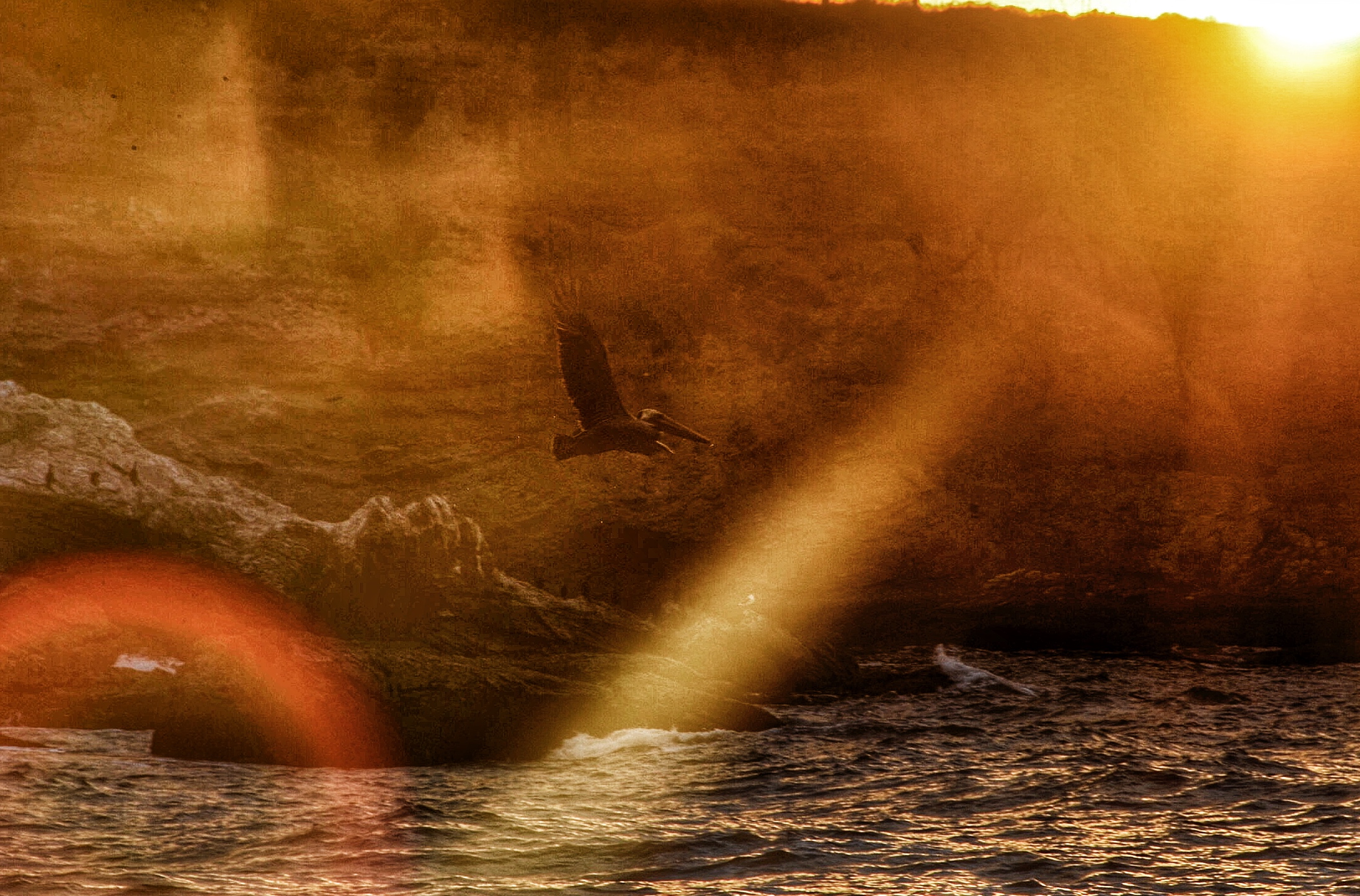 Spooner's Cove