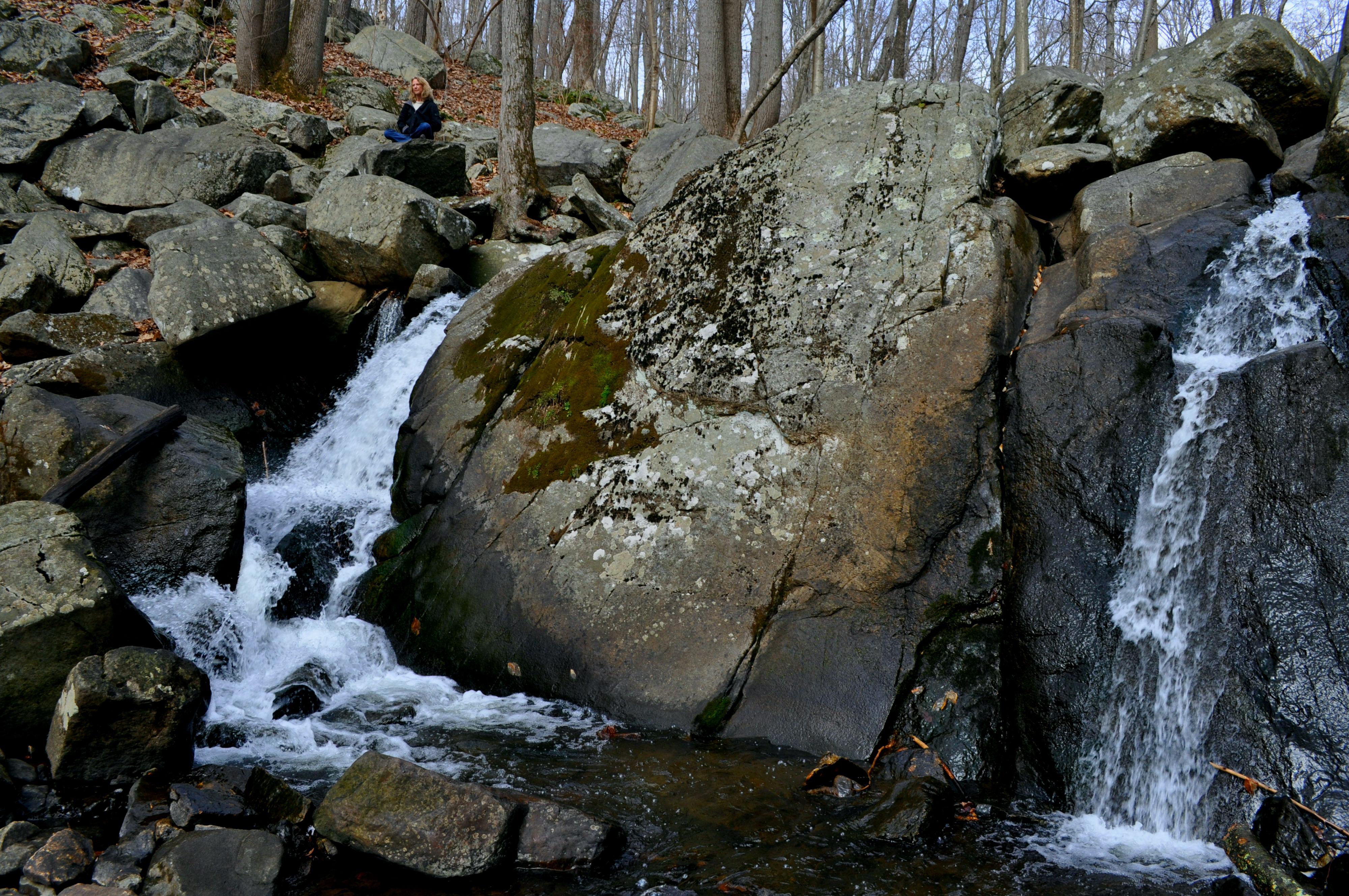 Hike Hacklebarney State Park's Trout Brook Riverbanks