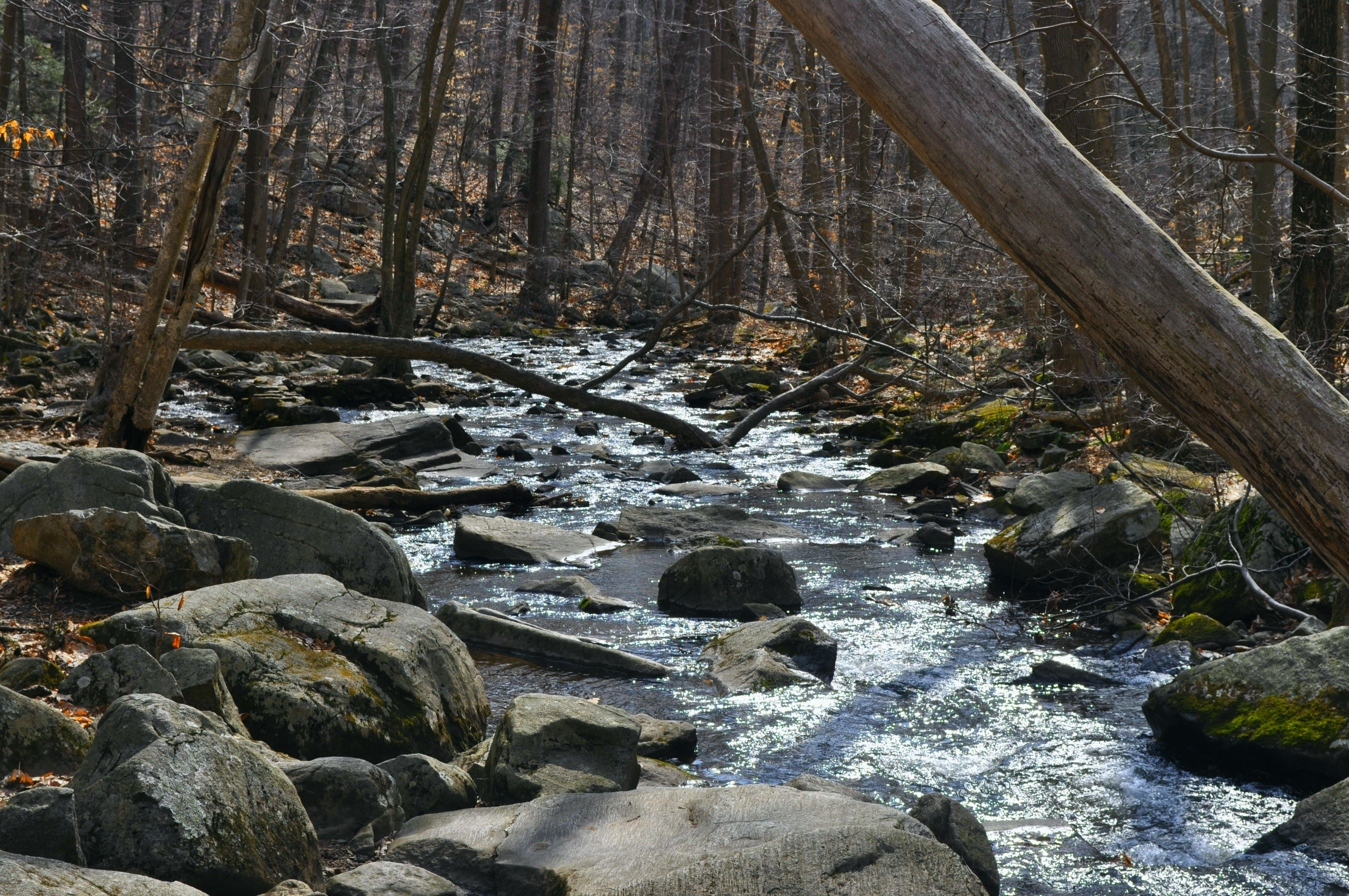 Hike Hacklebarney State Park's Trout Brook Riverbanks
