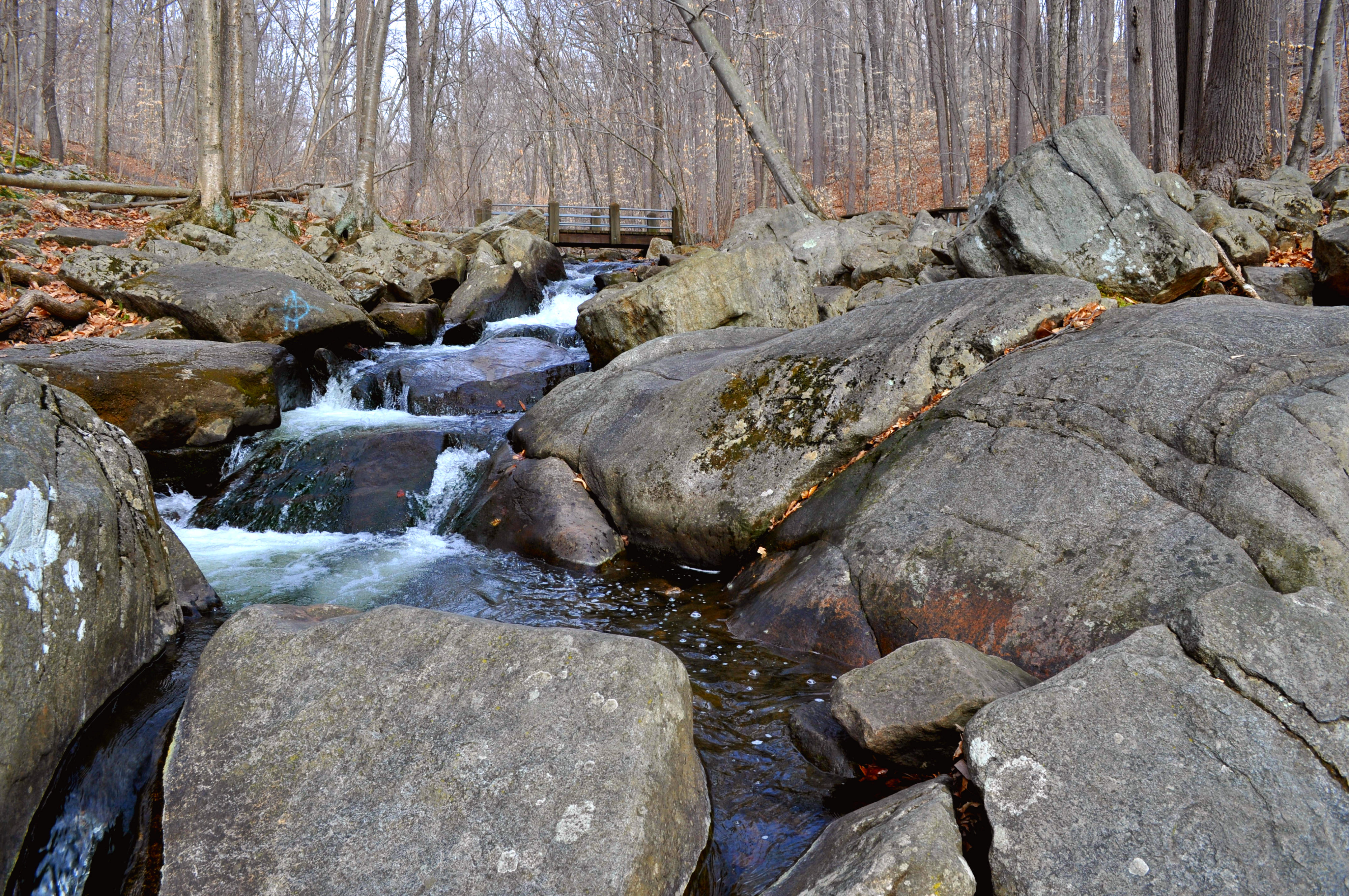 Hike Hacklebarney State Park's Trout Brook Riverbanks