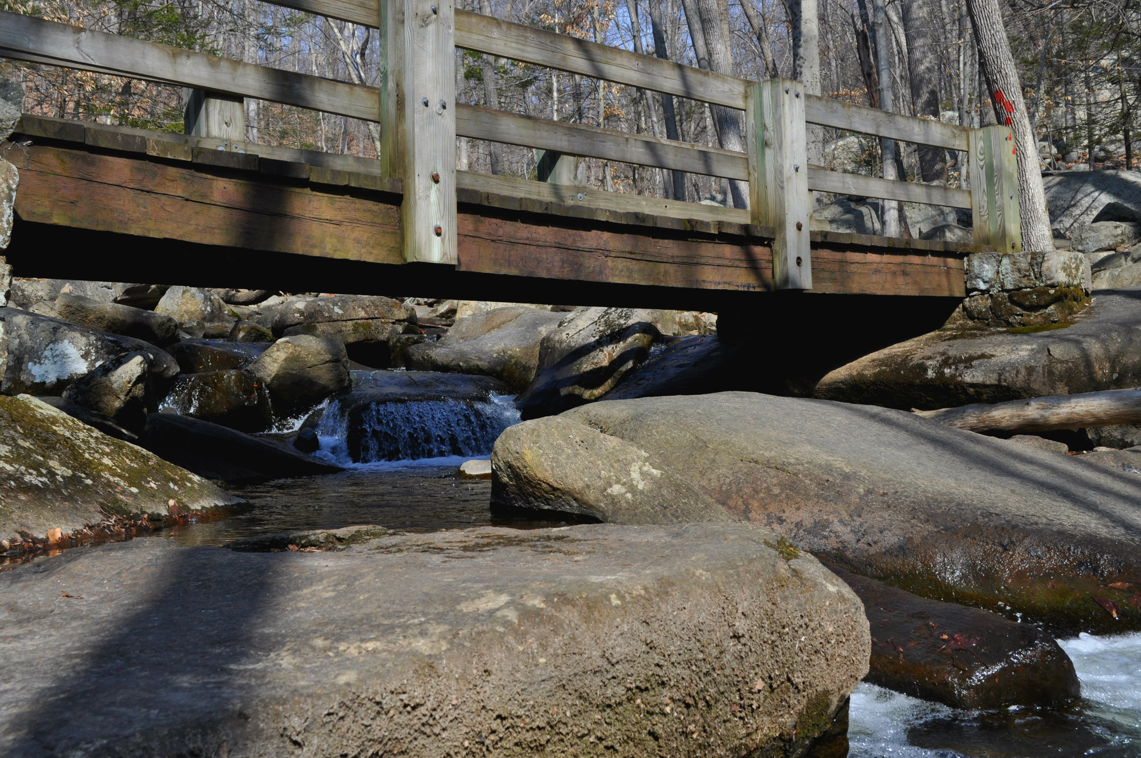 Hike Hacklebarney State Park's Trout Brook Riverbanks