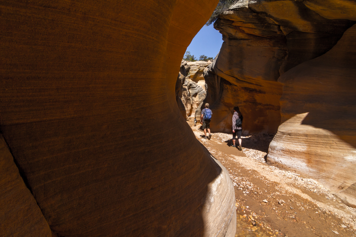Hike WIllis Creek Slot Canyon