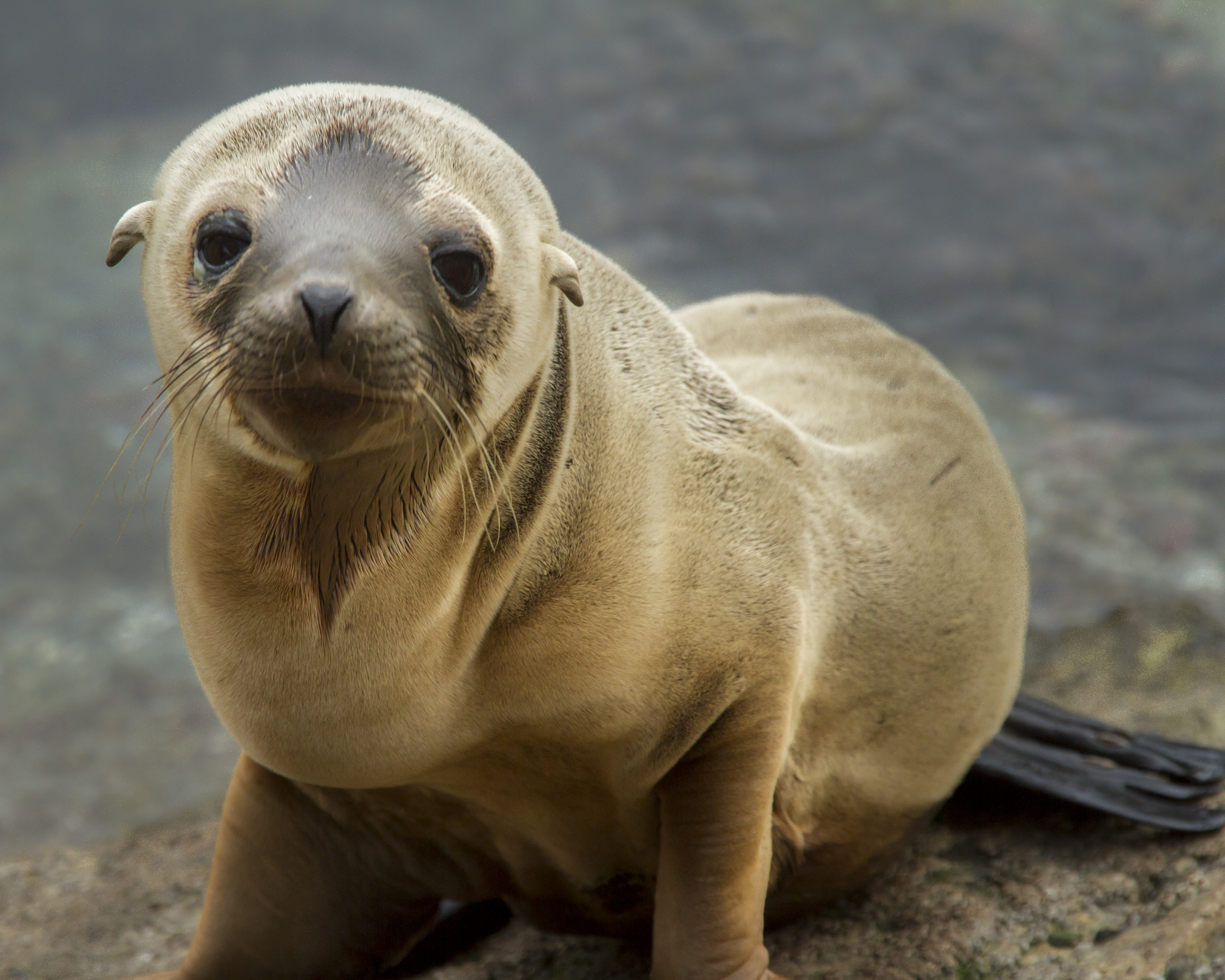 Explore Monterey Bay