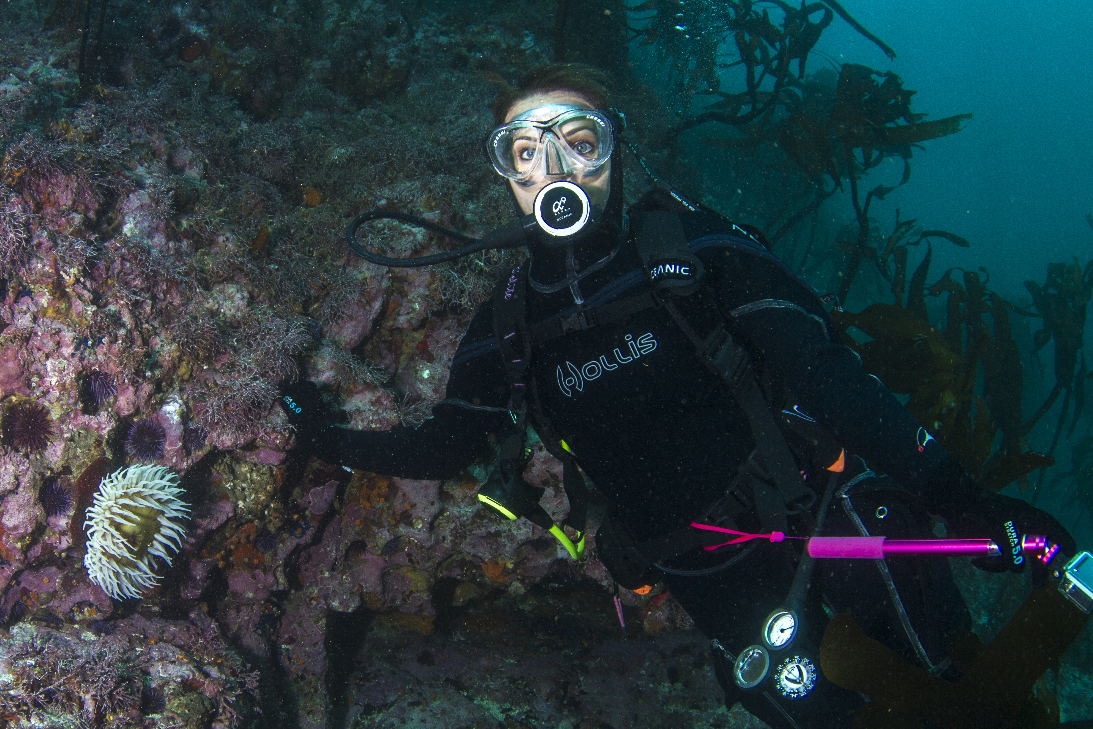 Explore Monterey Bay