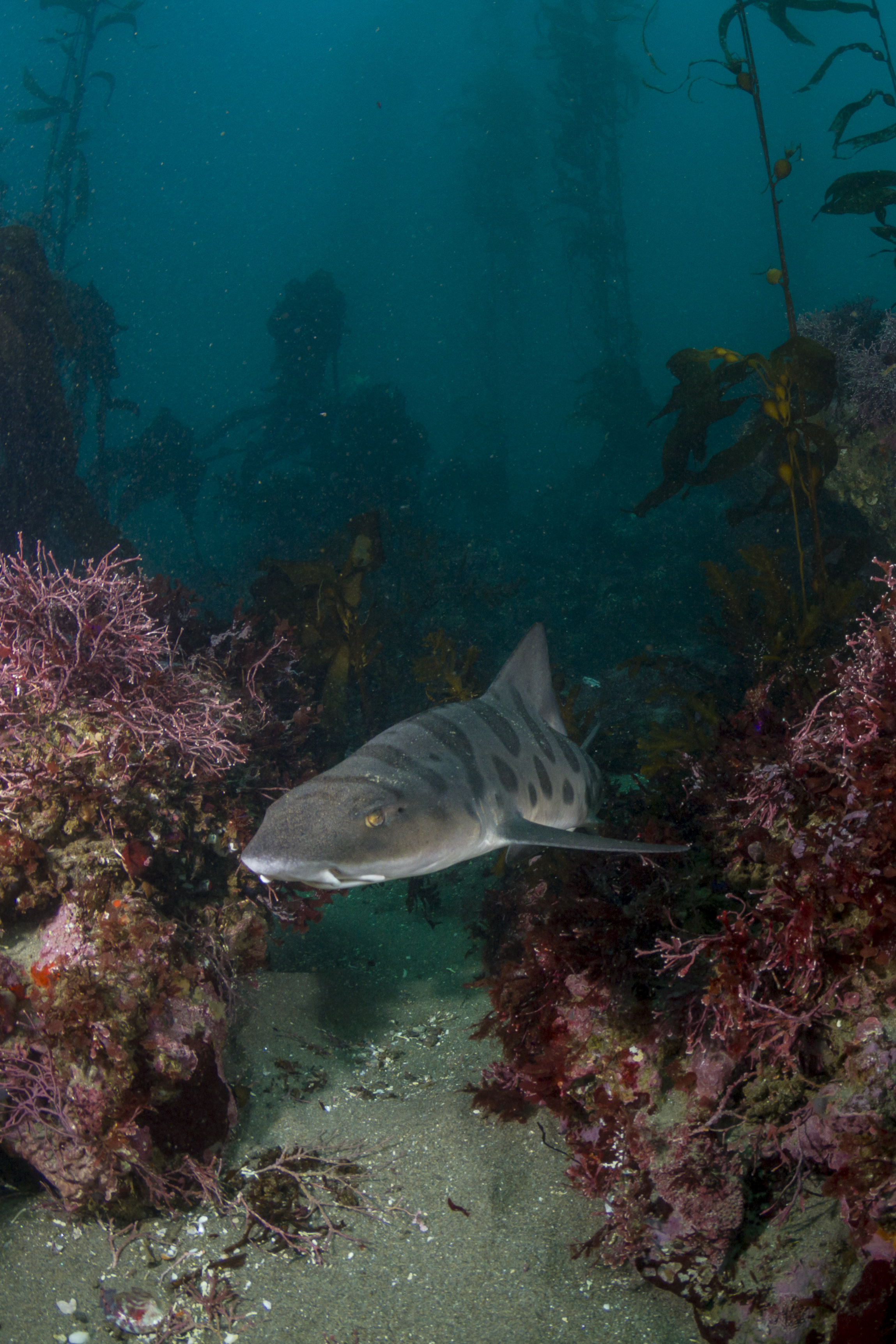 Explore Monterey Bay