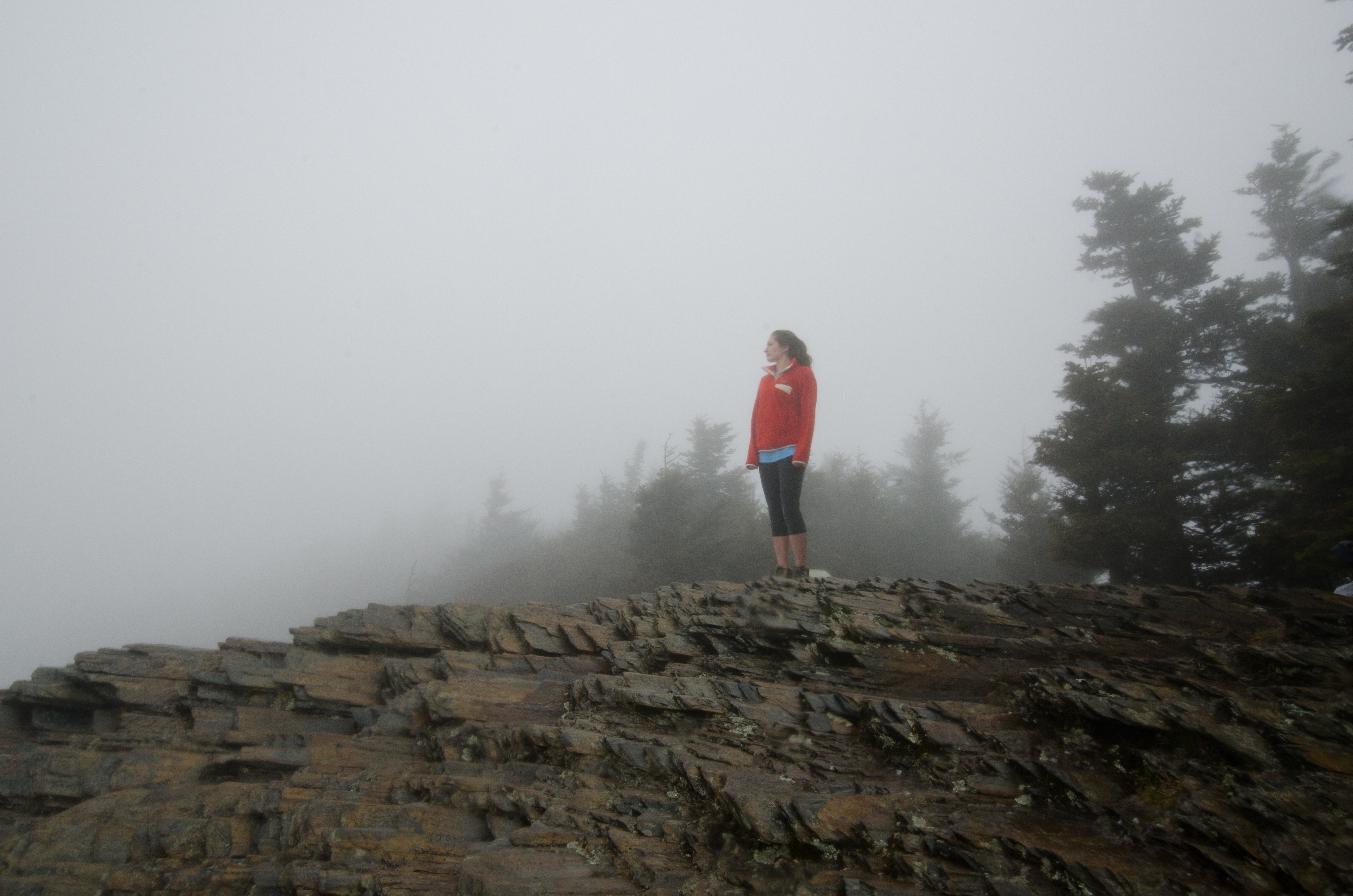 Hike Mount LeConte via Alum Cave