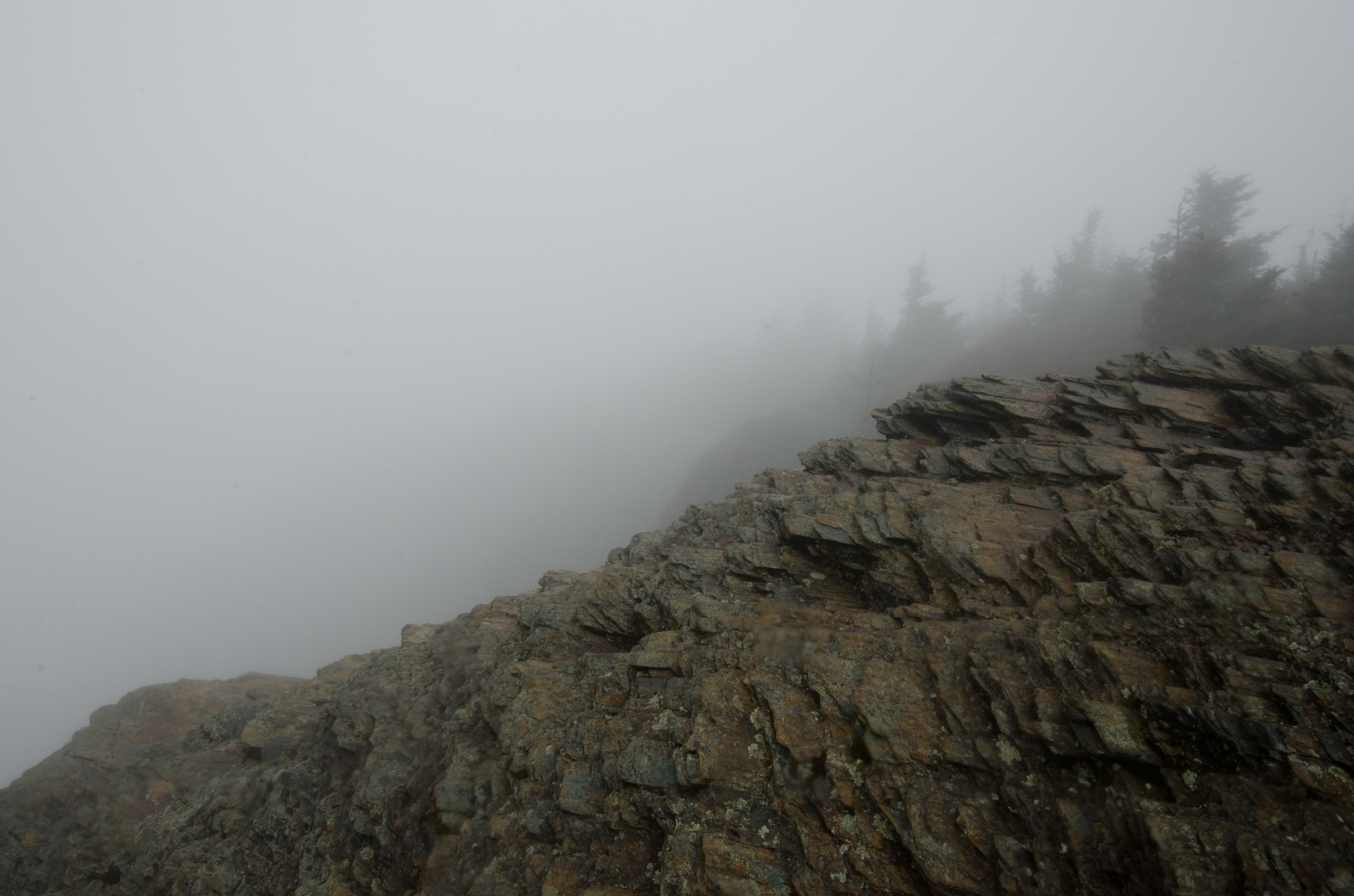 Hike Mount LeConte via Alum Cave