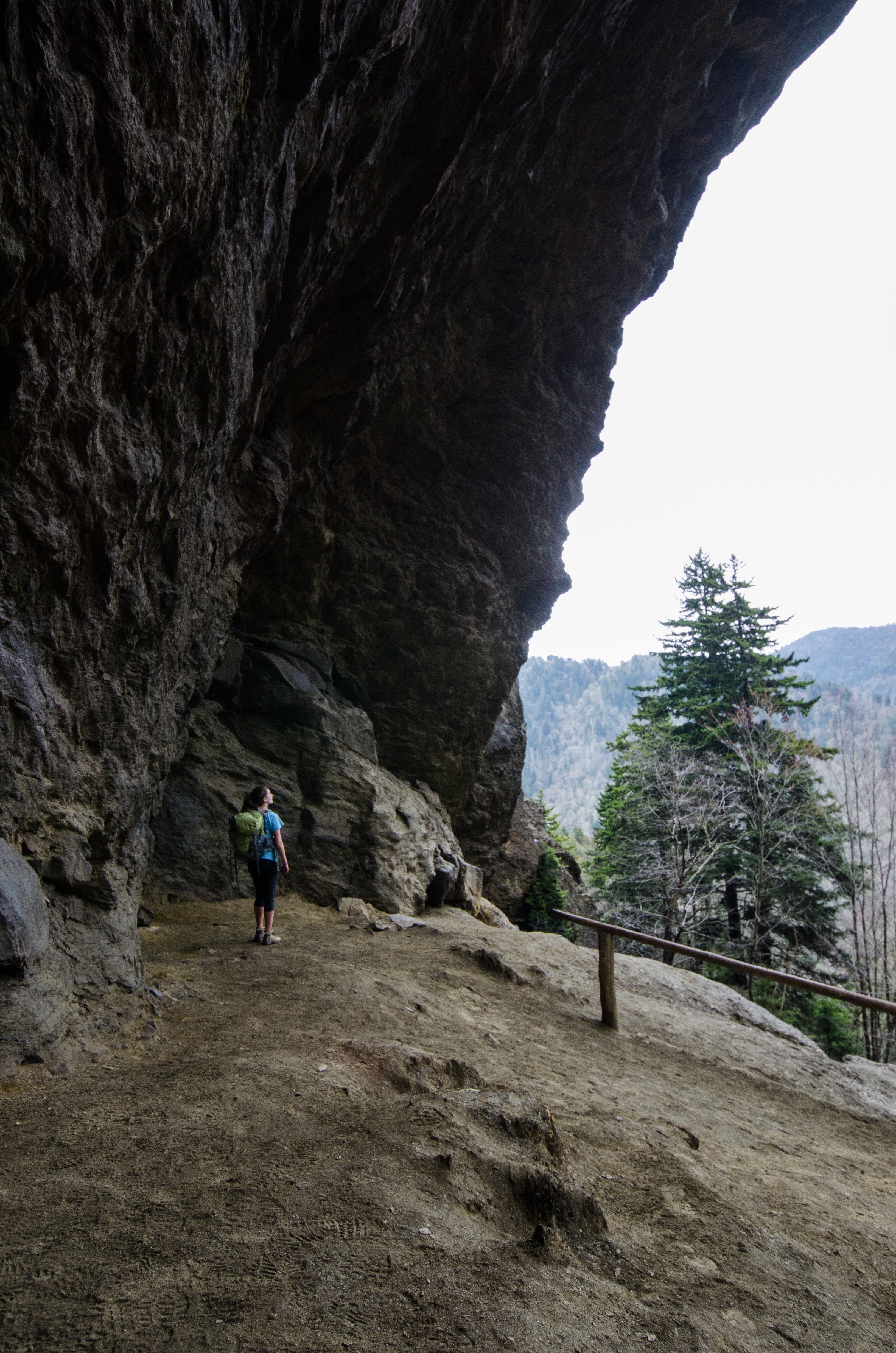 Hike Mount LeConte via Alum Cave