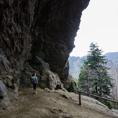 Hike Mount LeConte via Alum Cave