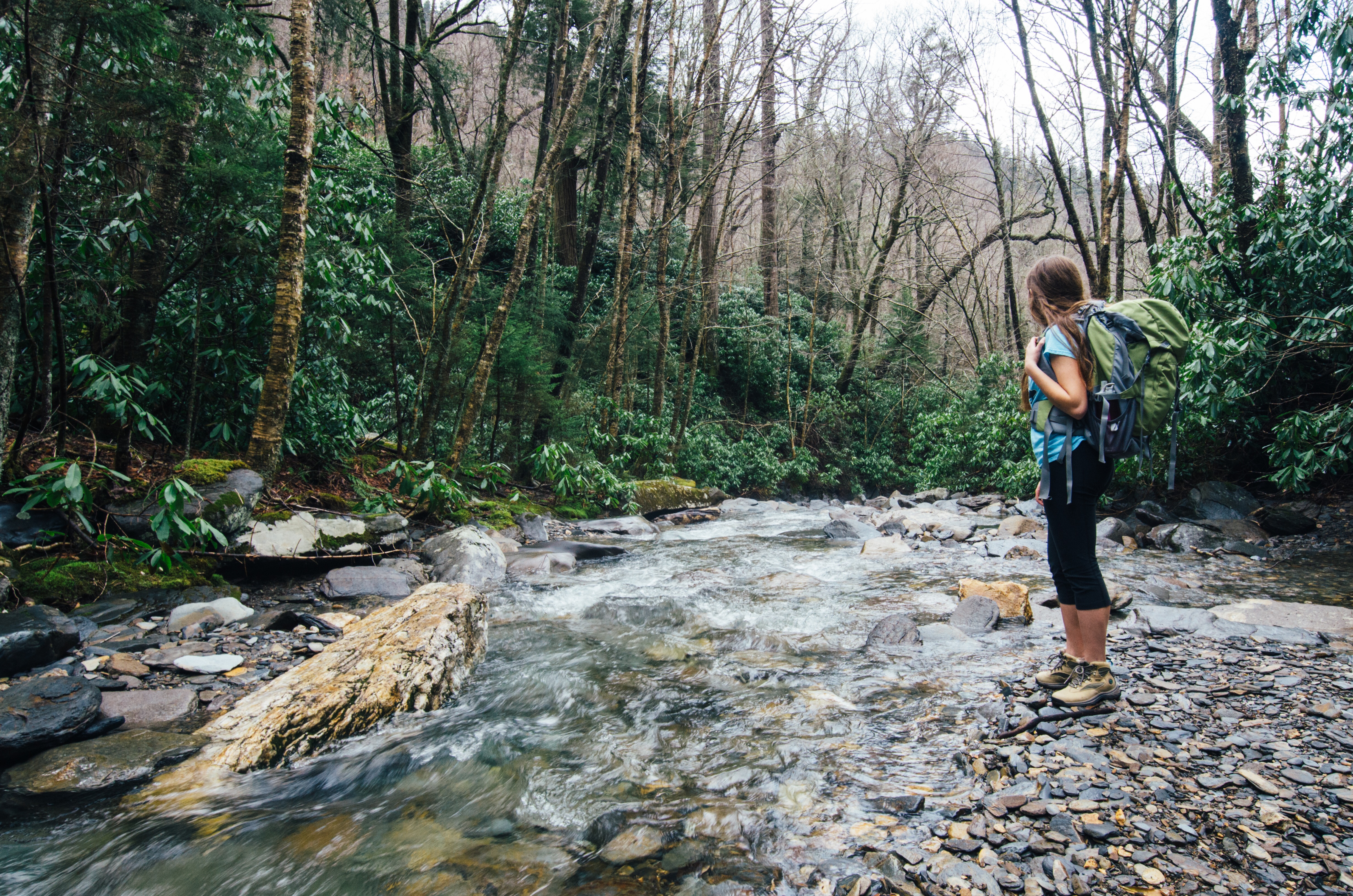 Hike Mount LeConte via Alum Cave