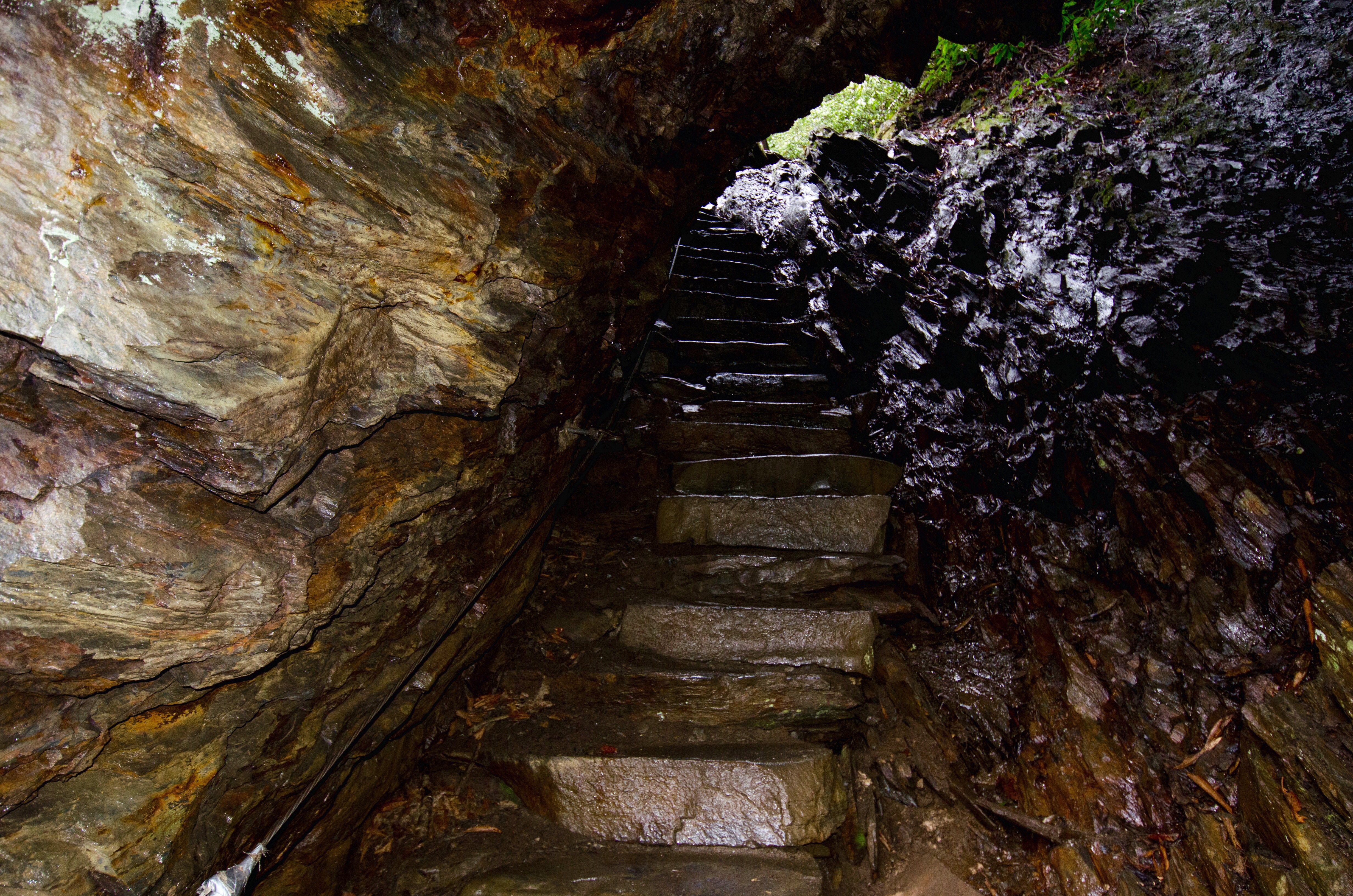 Hike Mount LeConte via Alum Cave