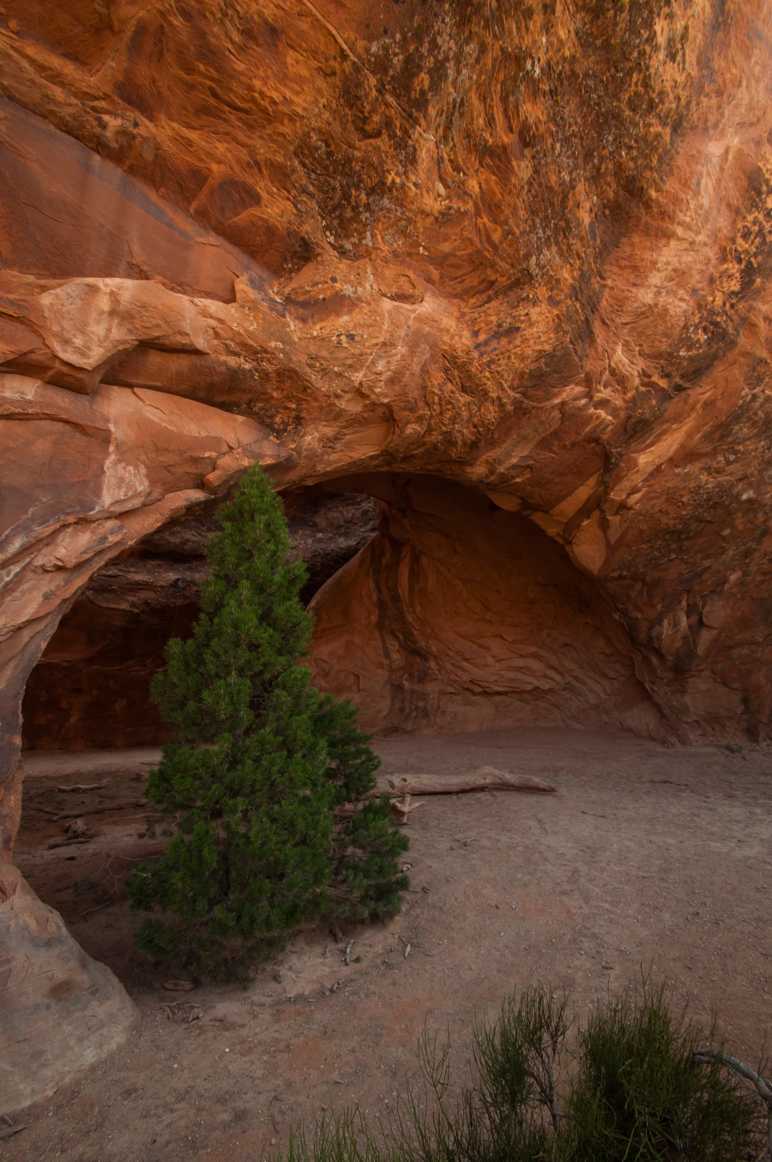 Hike the Devils Garden and Primitive Trail
