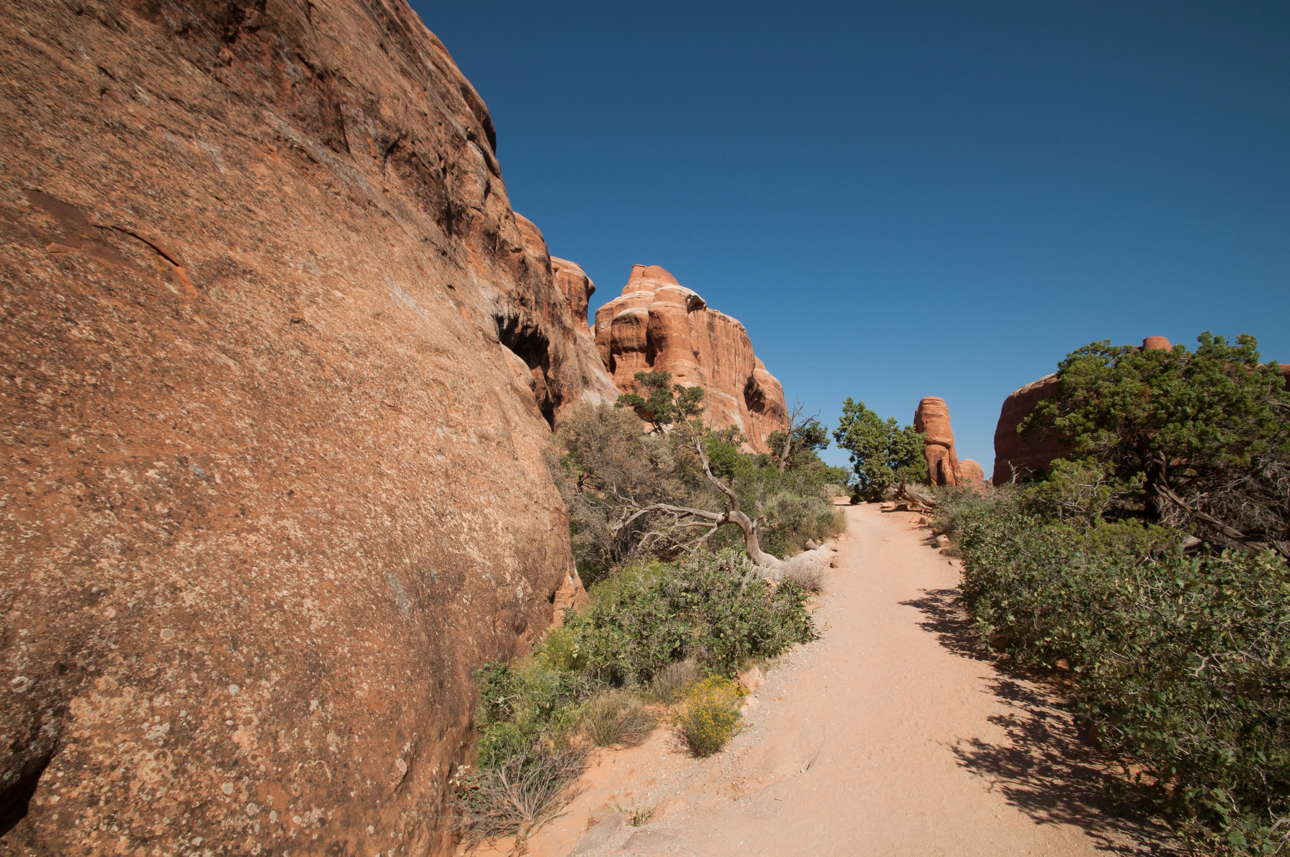 Hike the Devils Garden and Primitive Trail