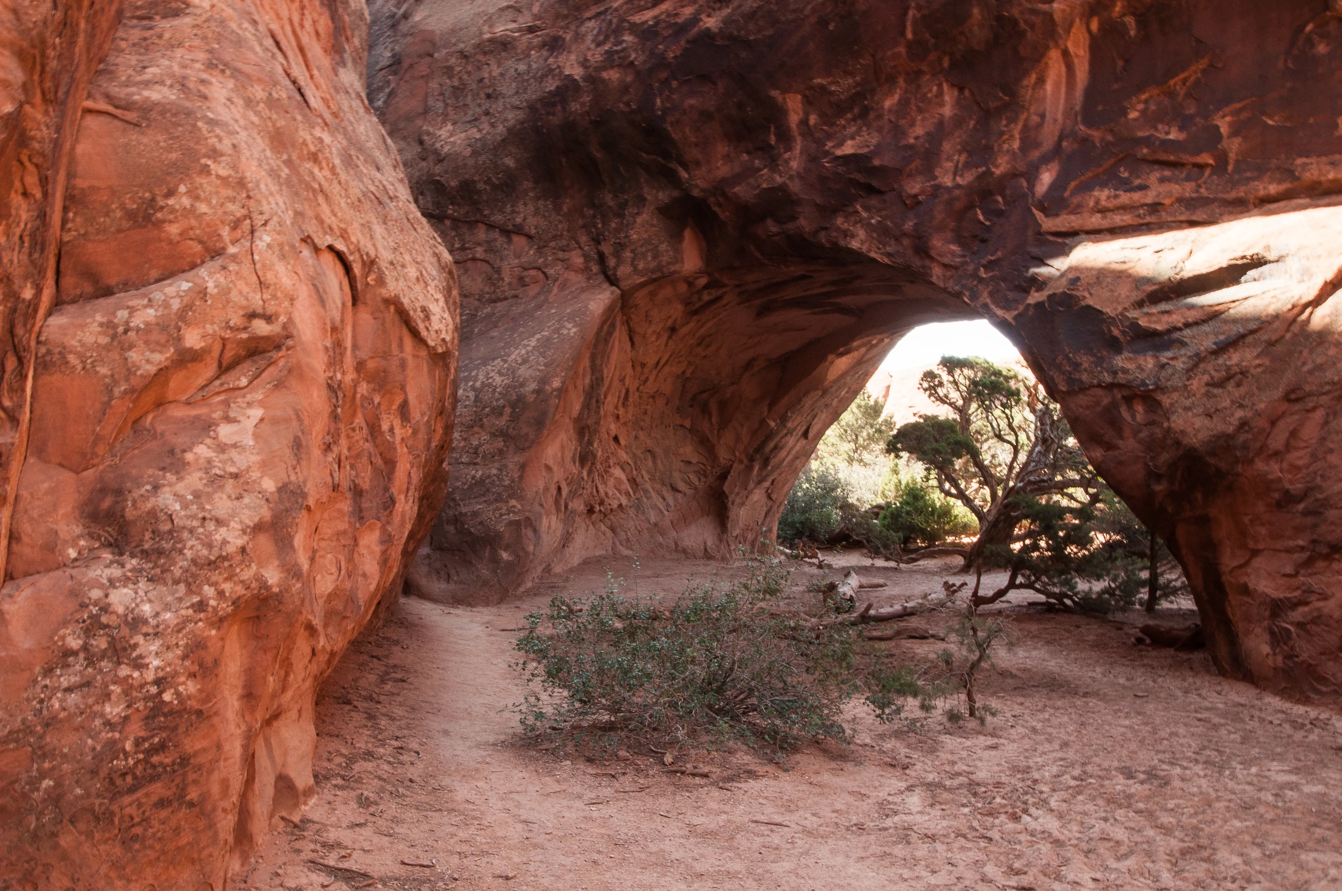 Hike the Devils Garden and Primitive Trail