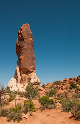 Hike the Devils Garden and Primitive Trail
